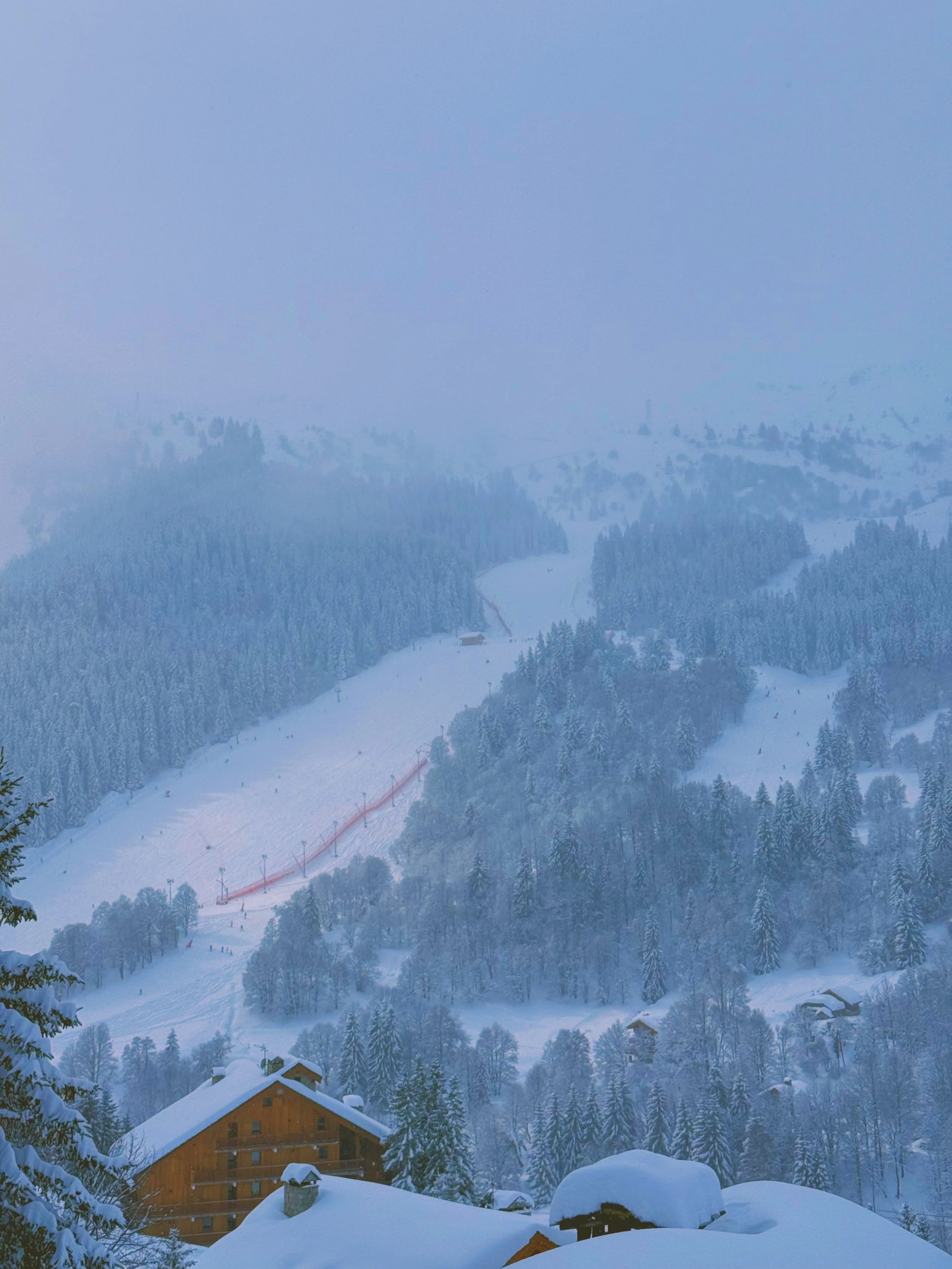 Photo Feb 17 2026, 12 14 53 PM.jpg