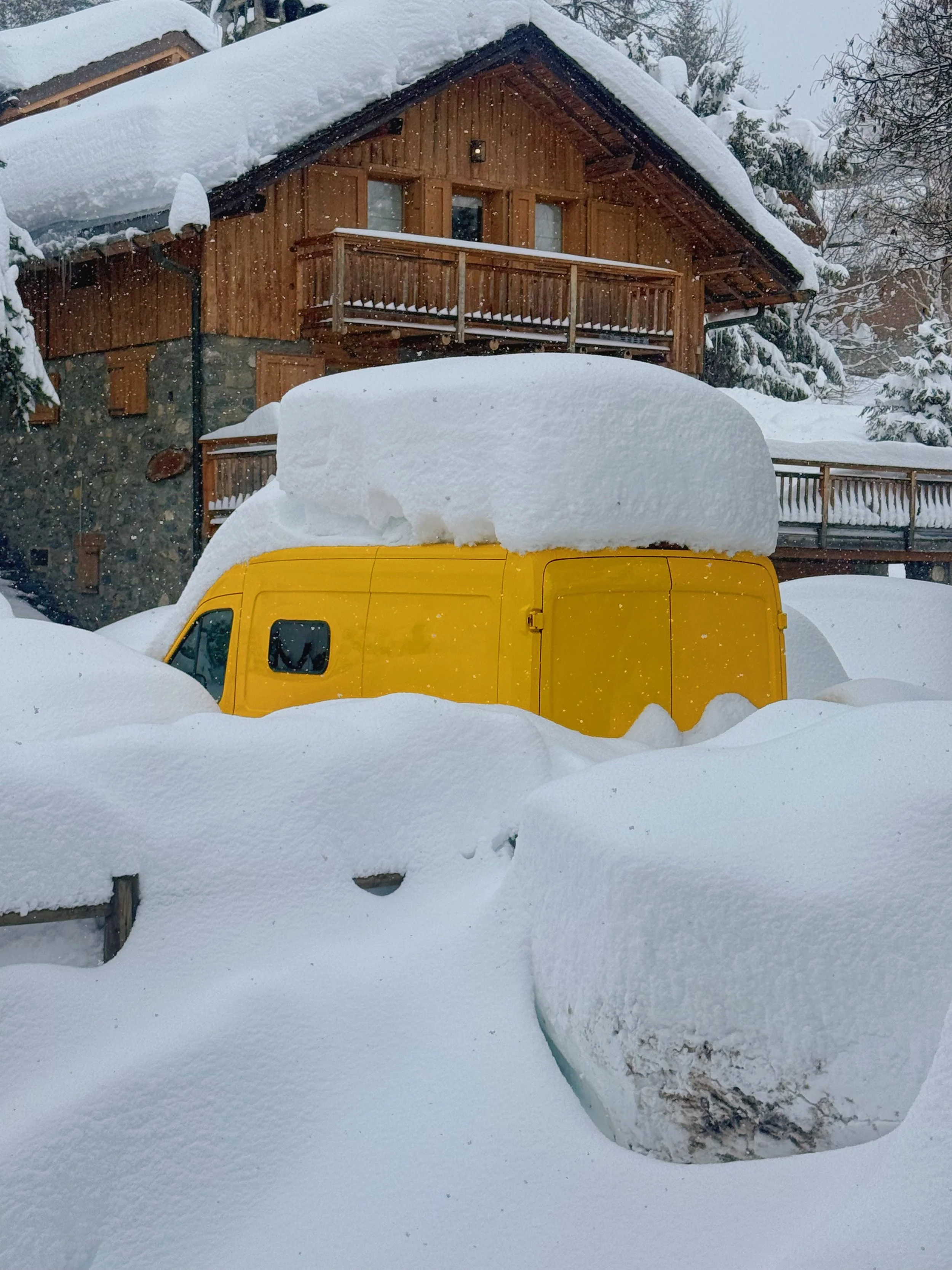 Photo Feb 17 2026, 2 12 48 PM.jpg