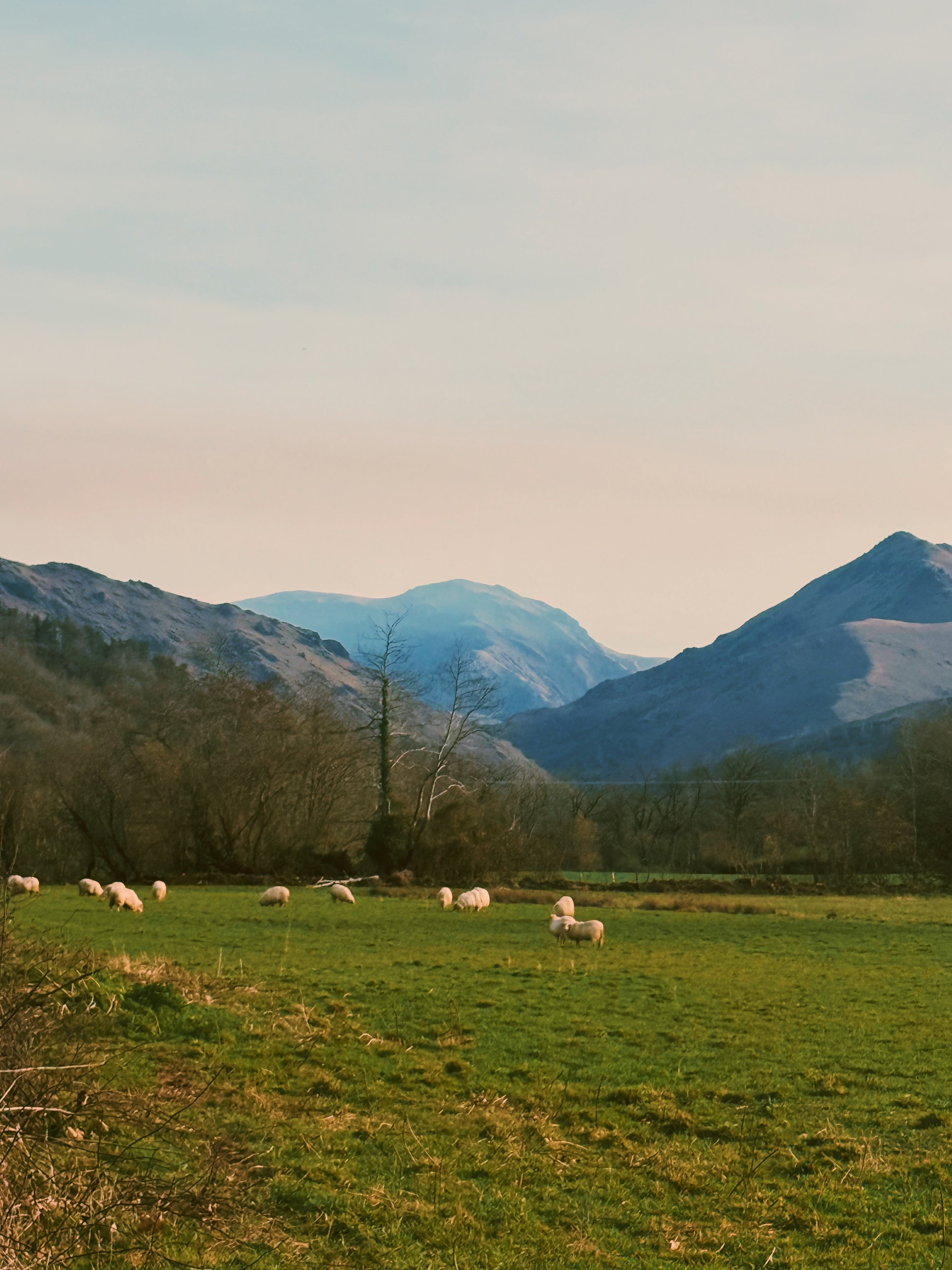 Photo Feb 22 2026, 4 50 40 PM.jpg