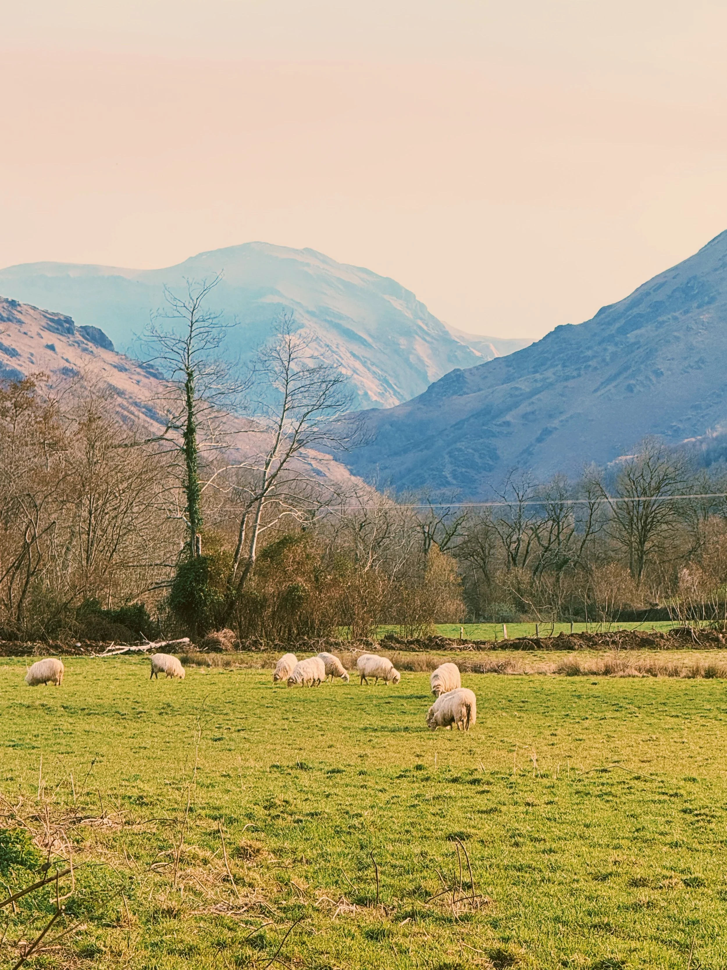 Photo Feb 22 2026, 4 51 08 PM.jpg