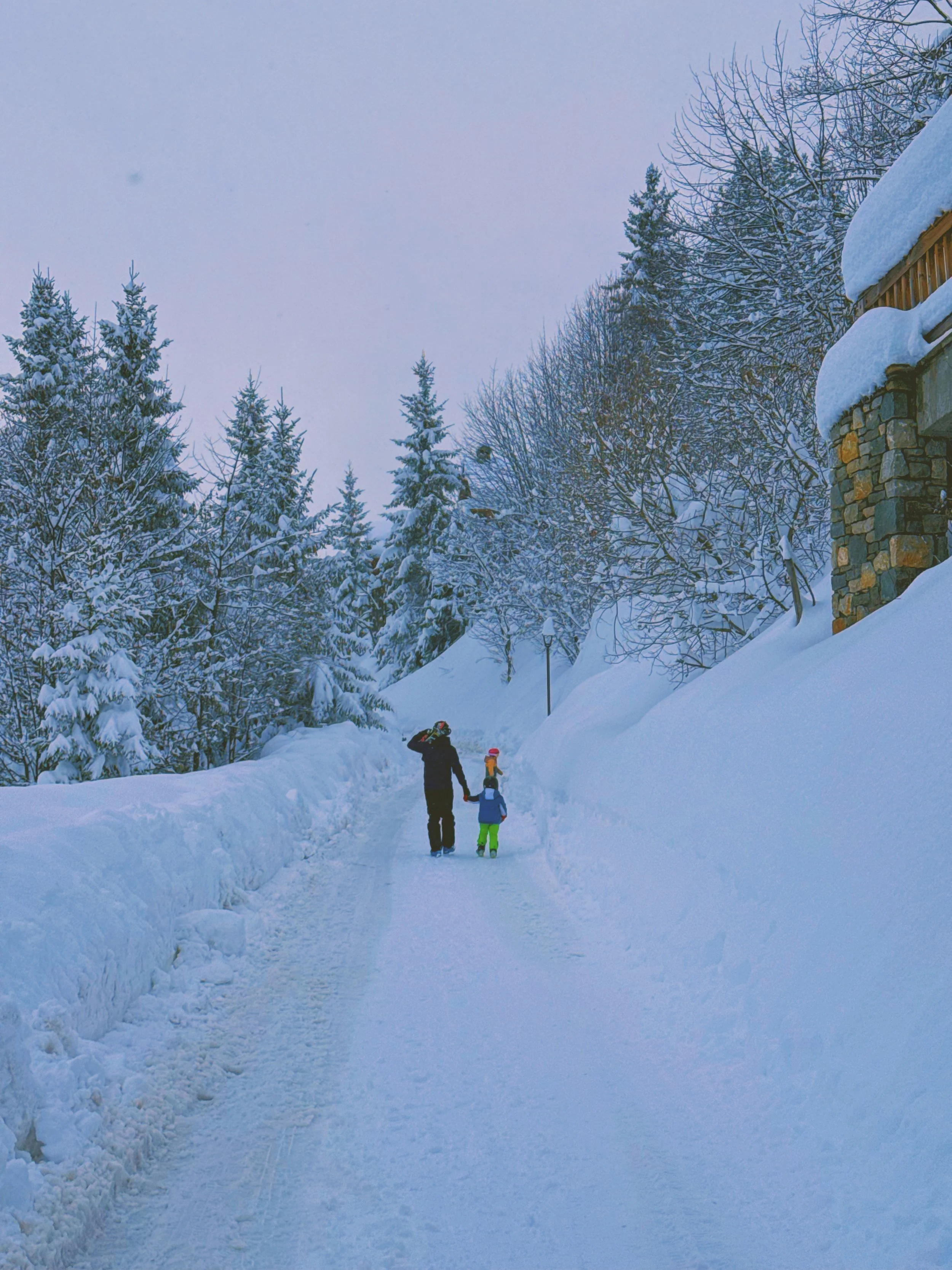 Photo Feb 17 2026, 12 15 52 PM.jpg