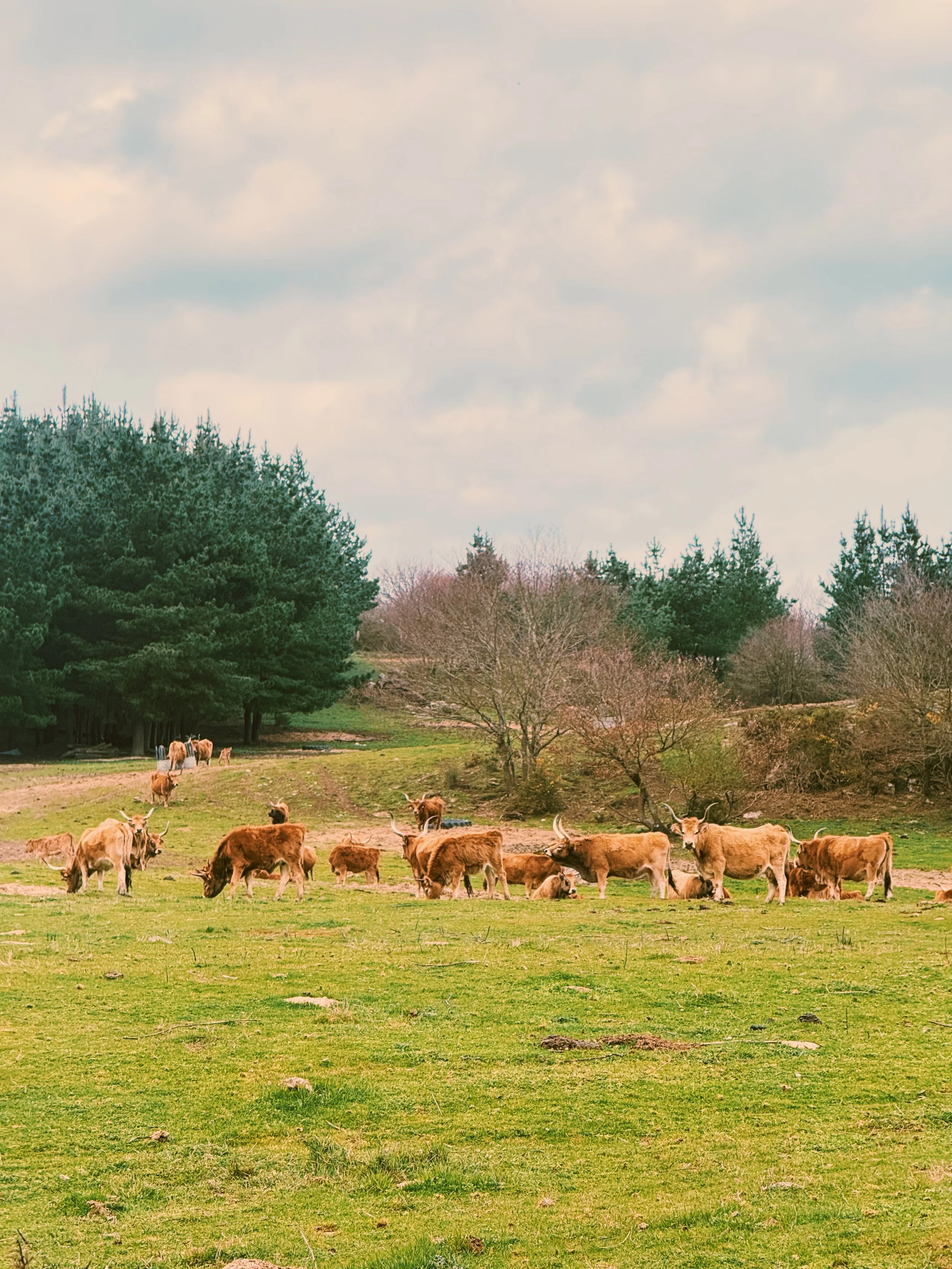 Photo Mar 02 2026, 3 48 57 PM.jpg