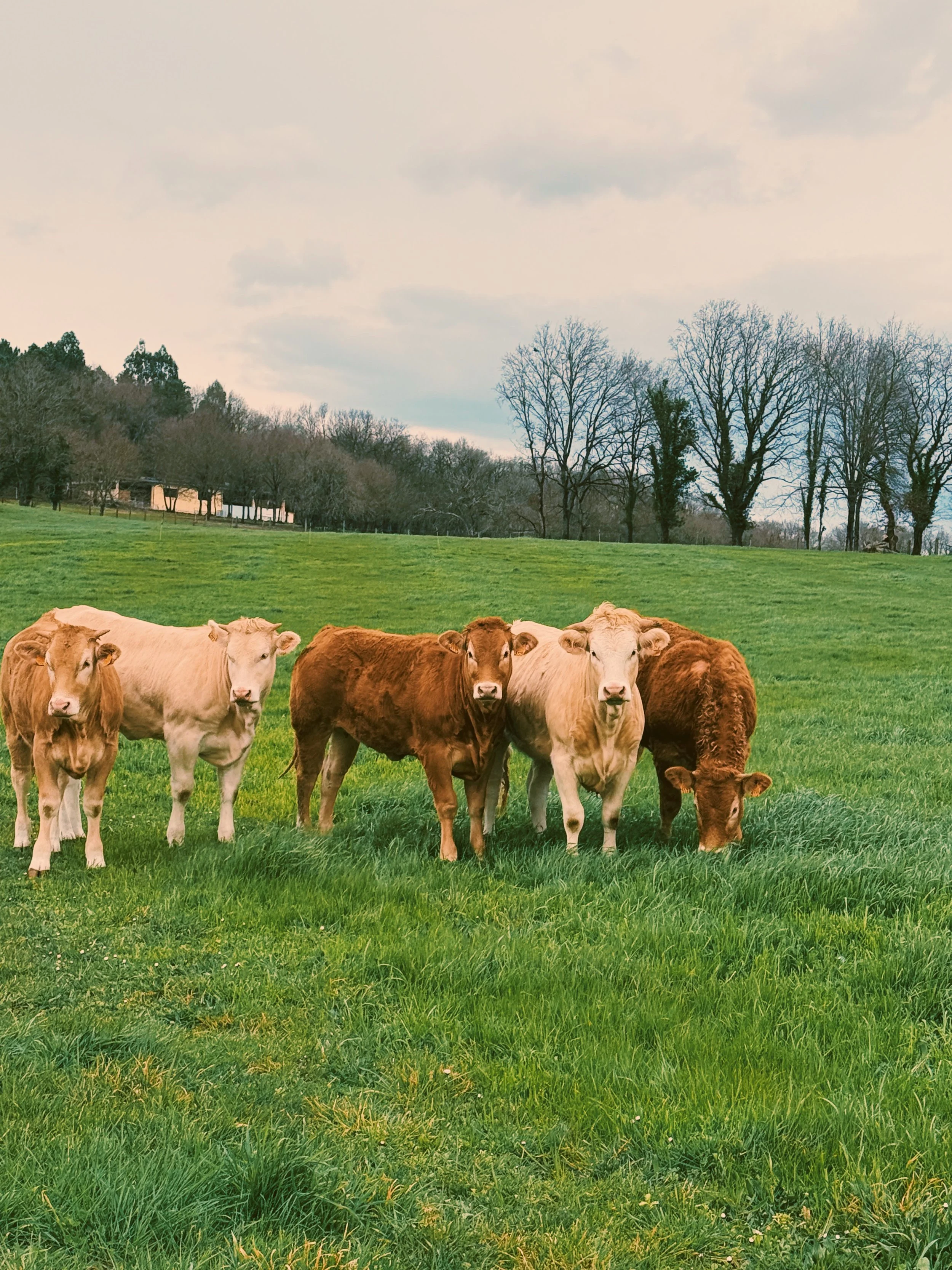 Photo Mar 02 2026, 11 41 03 AM.jpg