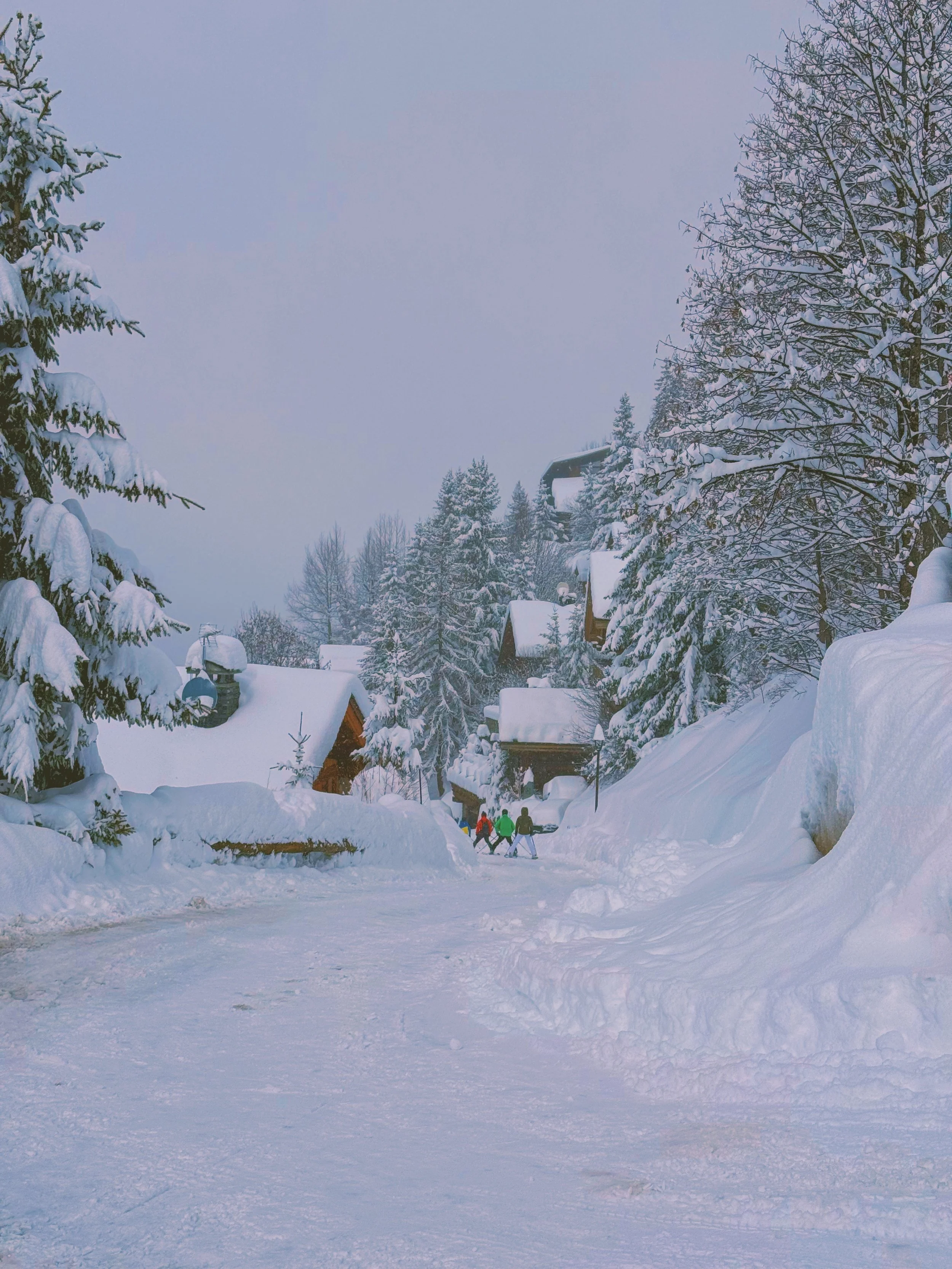 Photo Feb 17 2026, 12 22 13 PM.jpg