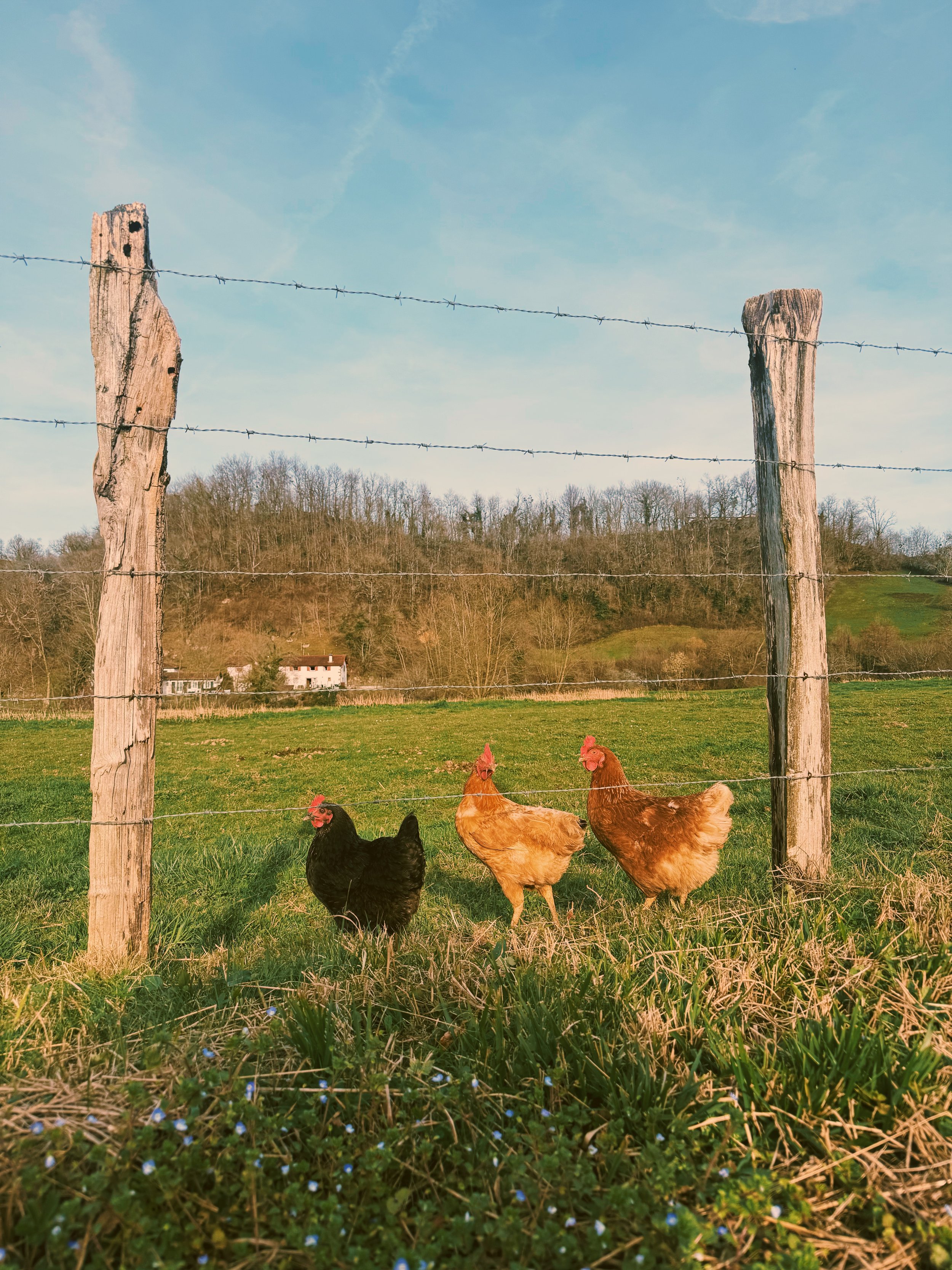 Photo Feb 22 2026, 4 54 29 PM.jpg