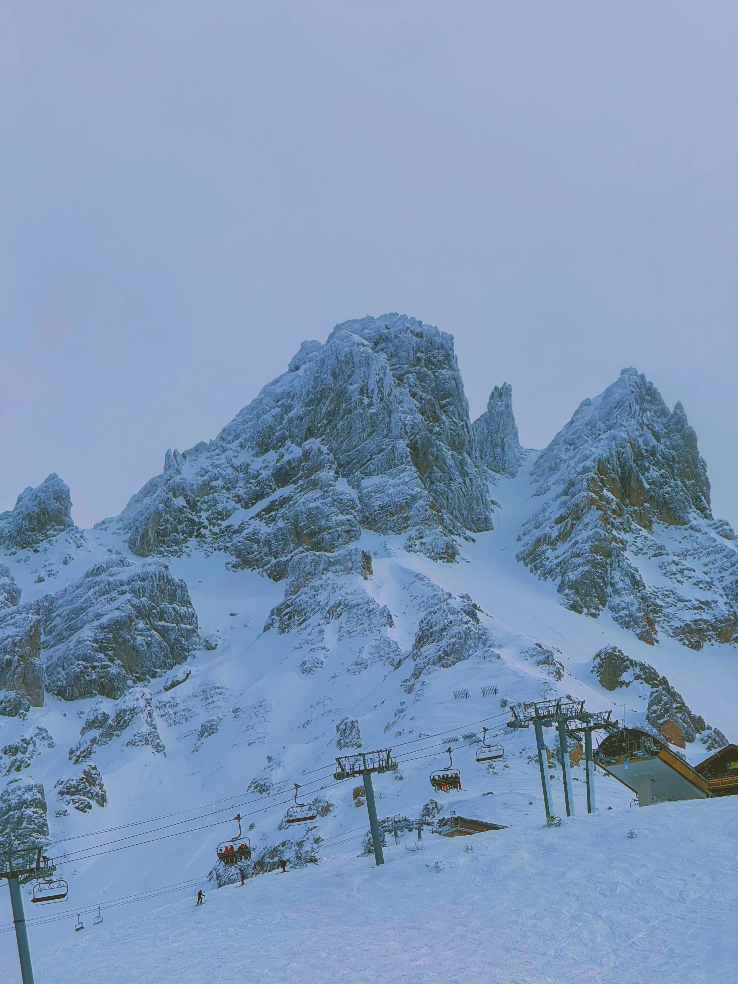 Photo Feb 18 2026, 11 23 03 AM.jpg