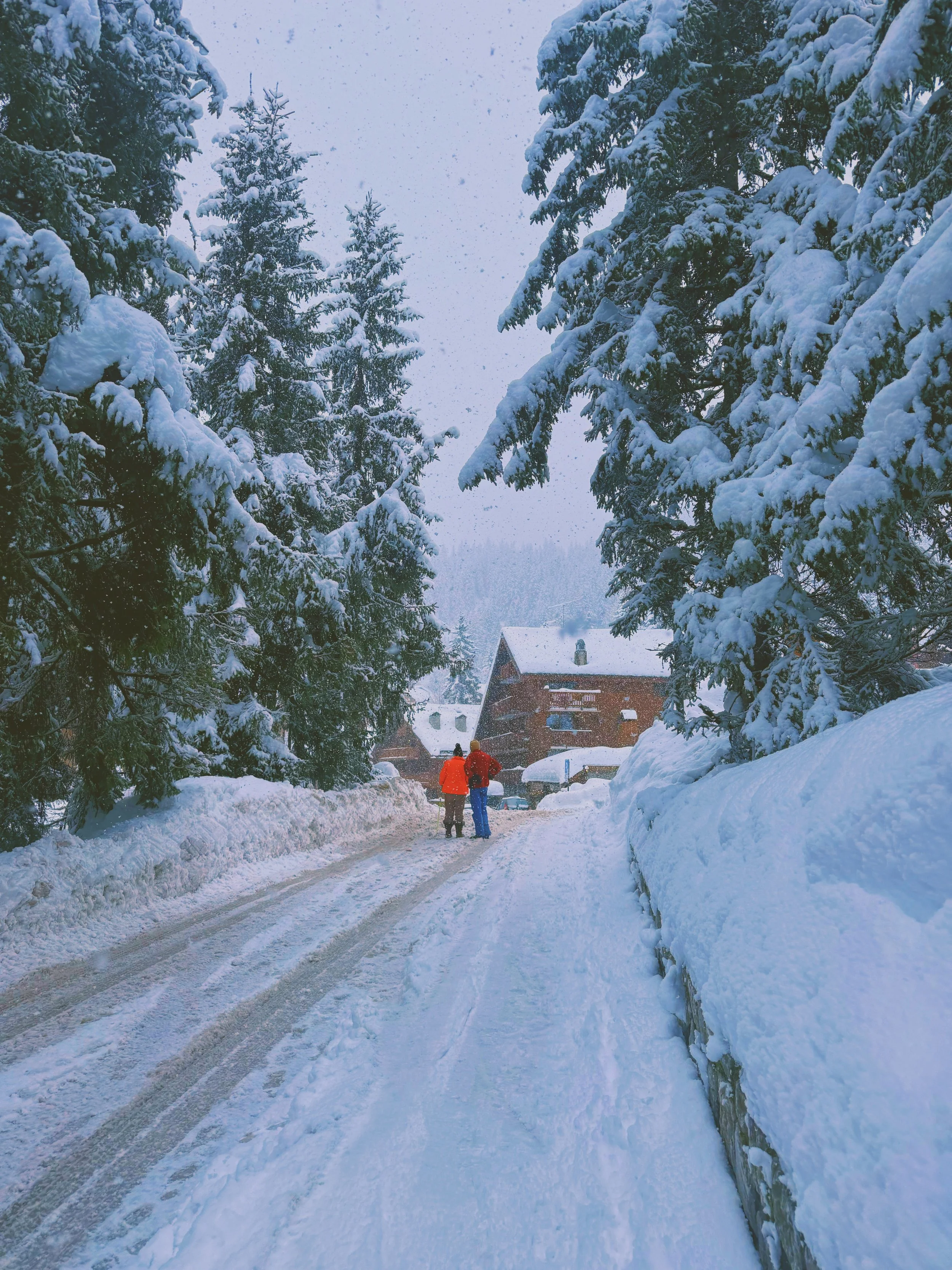 Photo Feb 19 2026, 11 33 21 AM.jpg