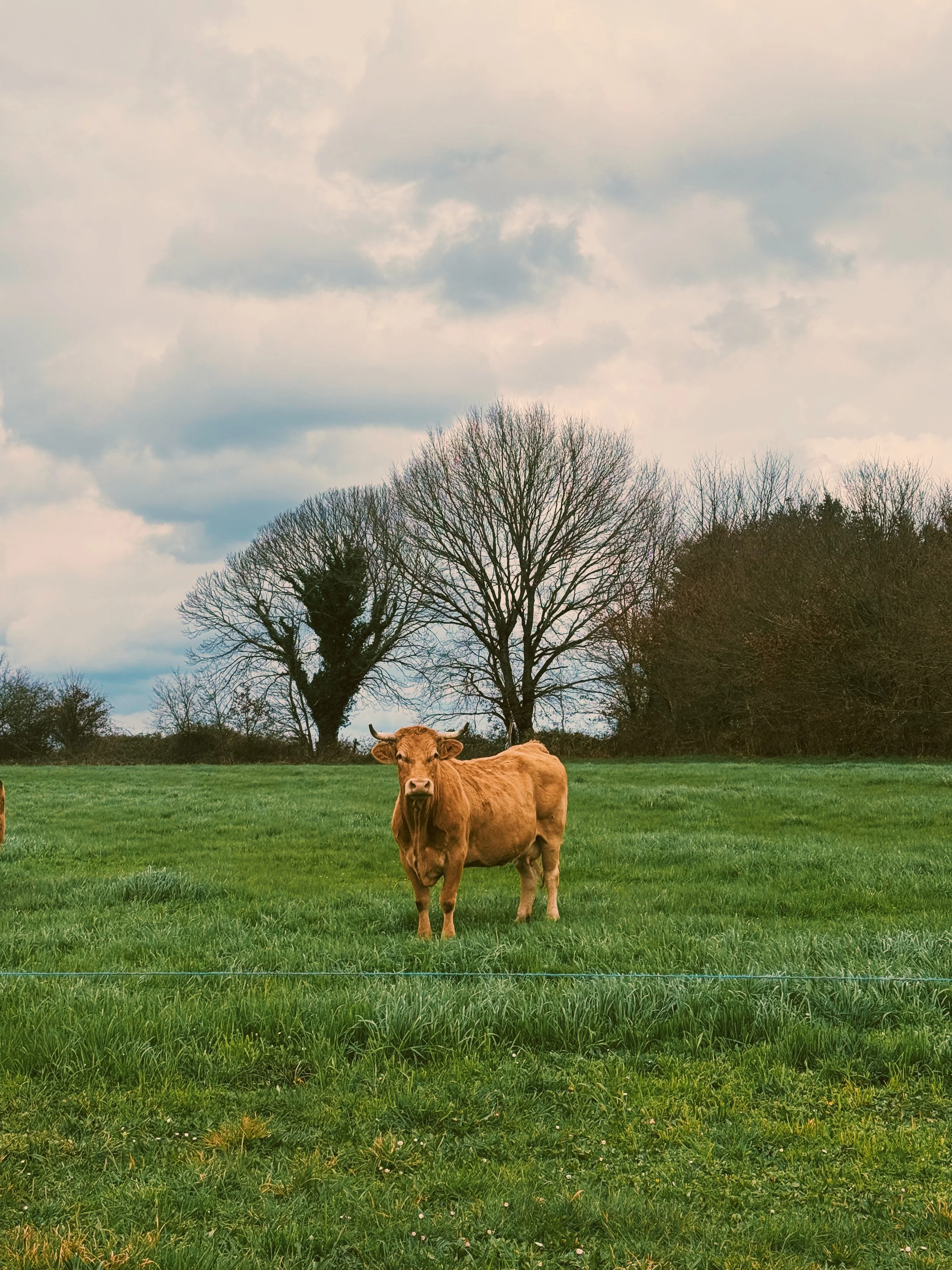 Photo Mar 02 2026, 11 40 43 AM.jpg