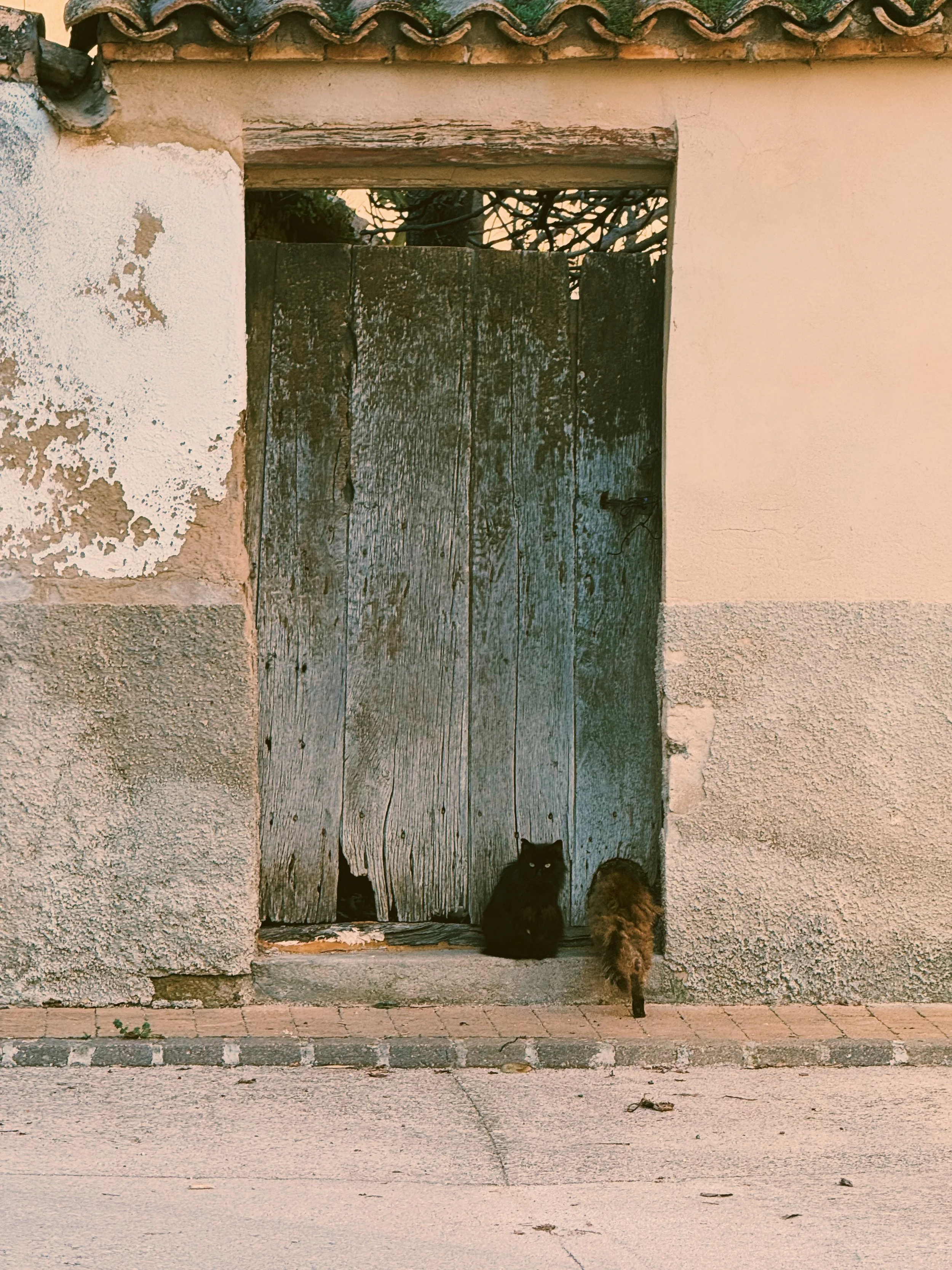 Photo Feb 26 2026, 4 33 45 PM.jpg