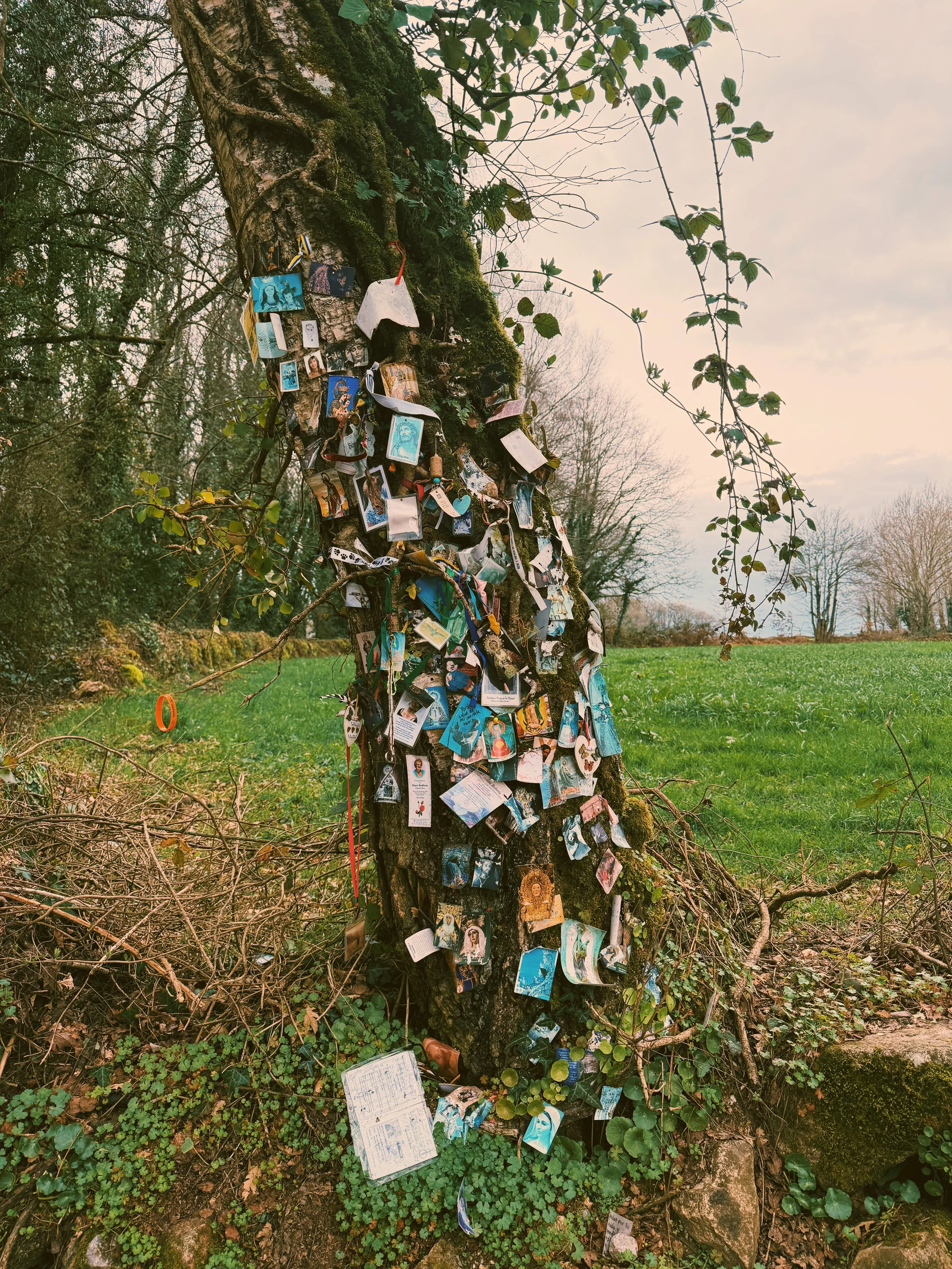 Photo Mar 02 2026, 12 34 21 PM.jpg