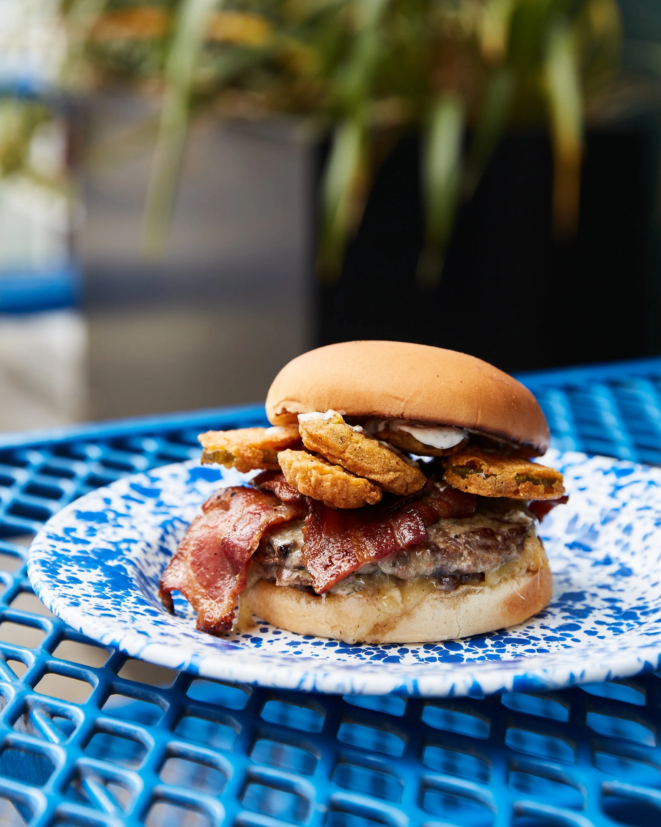 Spring 22-Holler 30.jpg