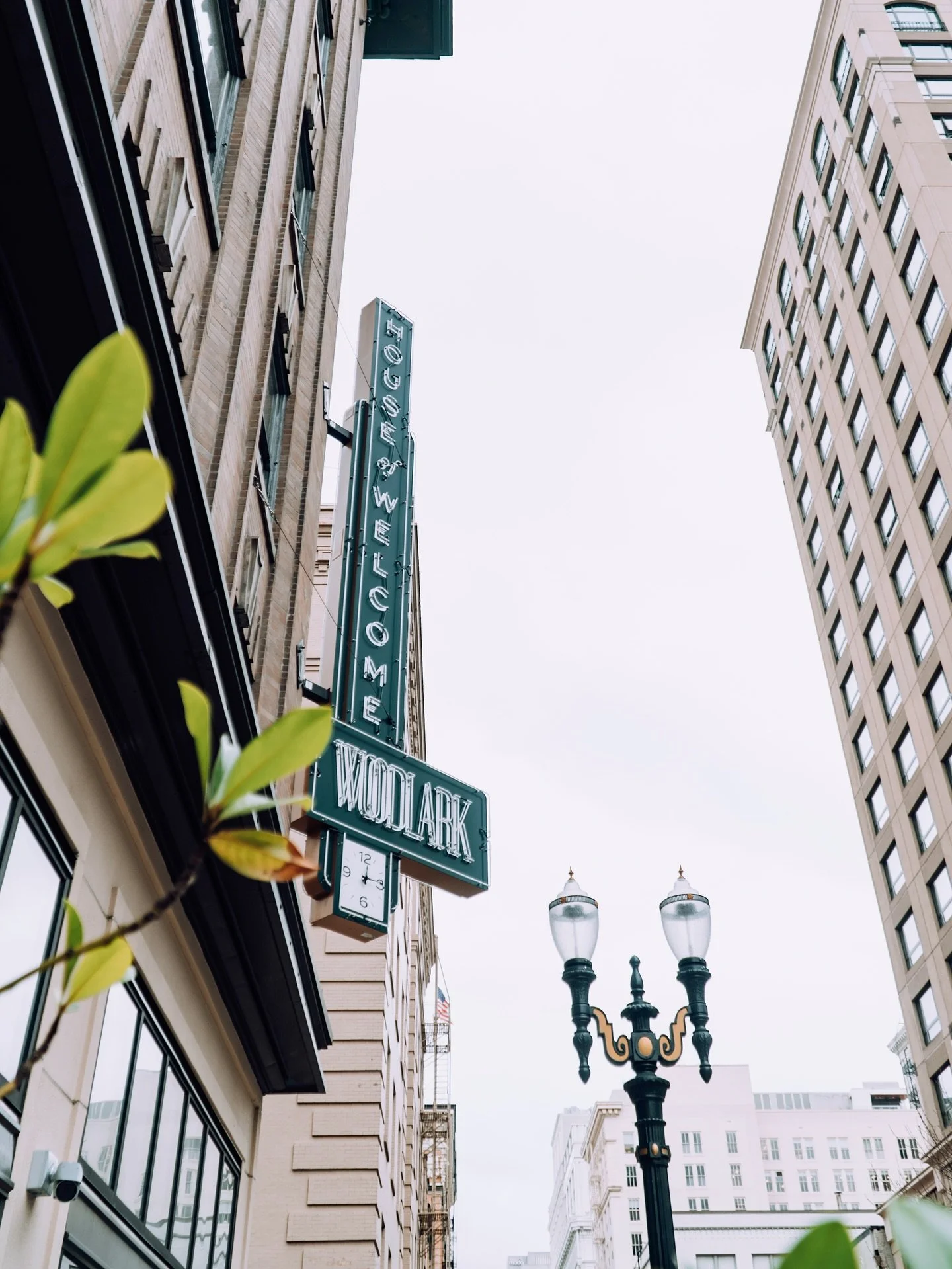 We create content with character. Strategy with style. All the mood, none of the stress. 

Time to make your brand look as good as it feels. 🪴 @woodlark_hotel