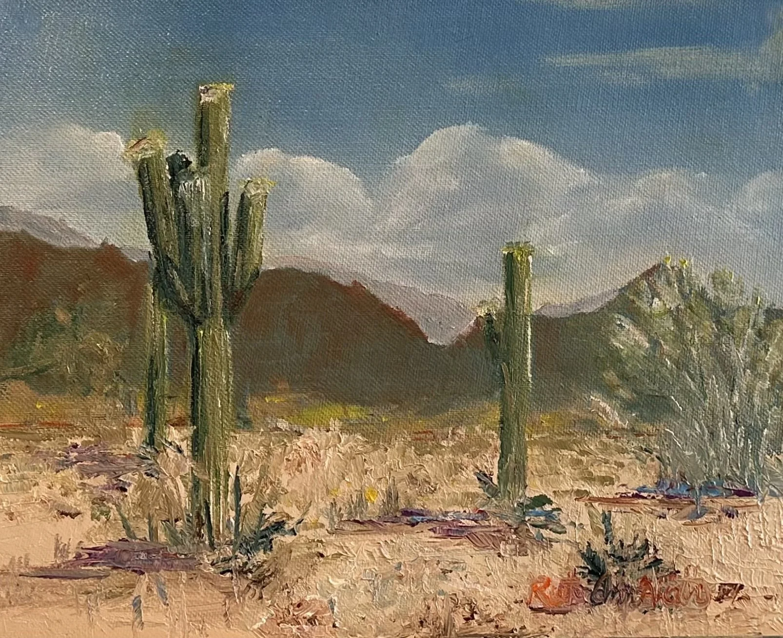 Taliesin Cacti, Scottsdale. 8x10 Oil on Panel, unframed.
