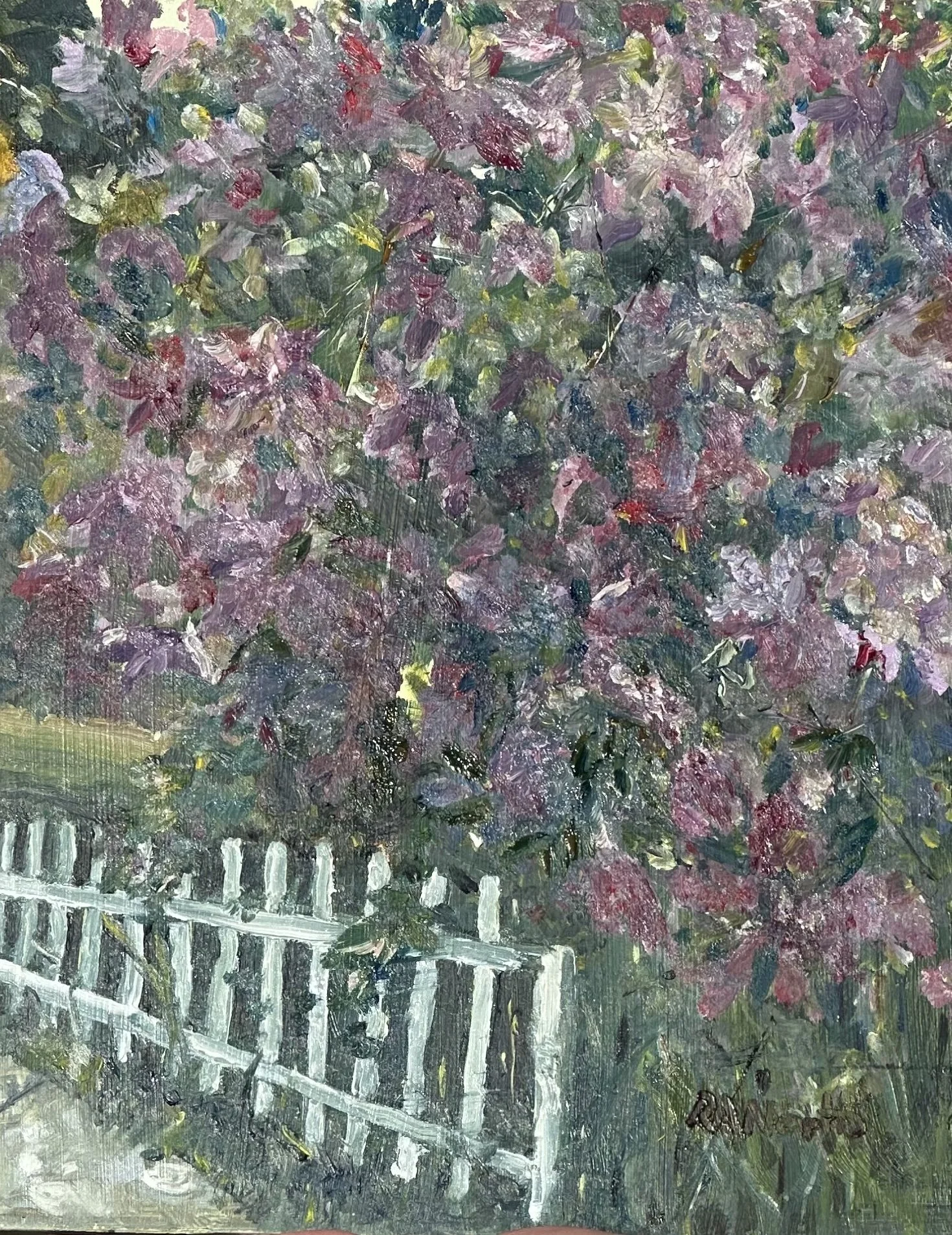 Lilacs in Bloom.jpg