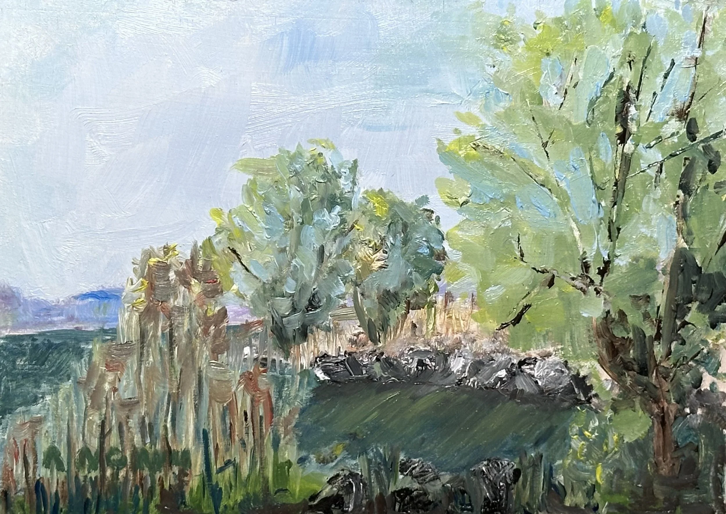 Waking the Water, 5 x 7 Oil on Panel, Unframed