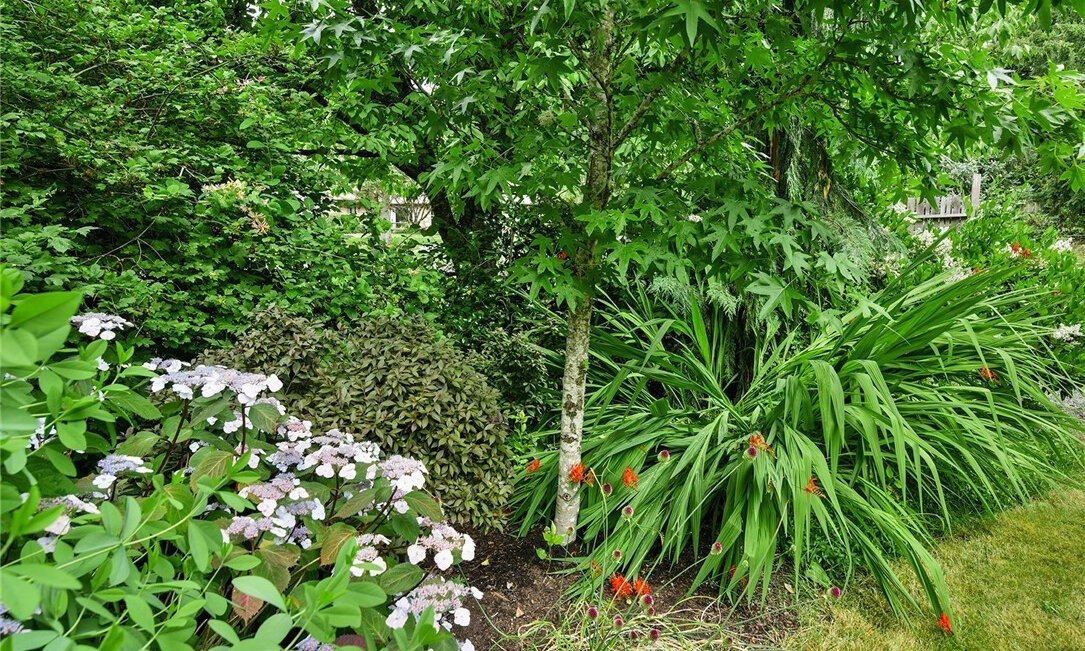  view of plants in front yard 