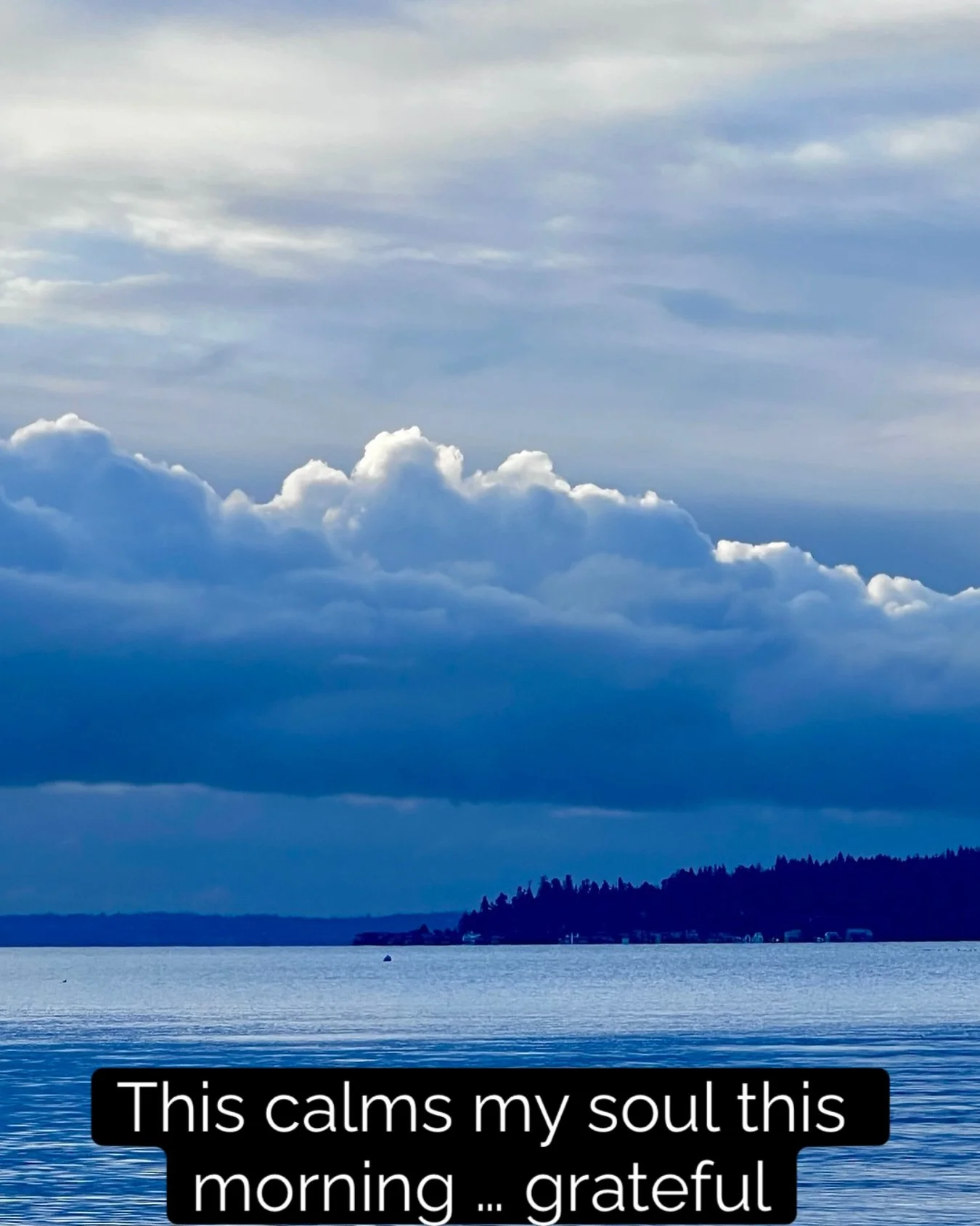 Found some solace this morning