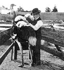 OstrichFarm.jpg