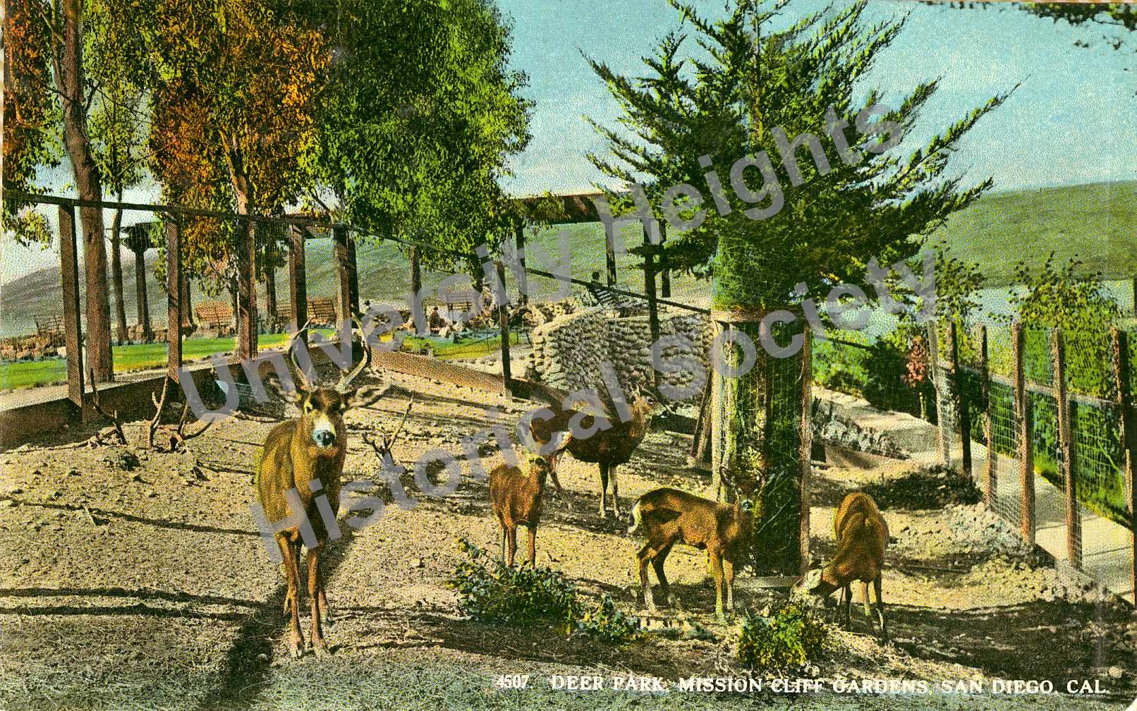 MCG Postcard-Deerpark1-watermarked.jpg