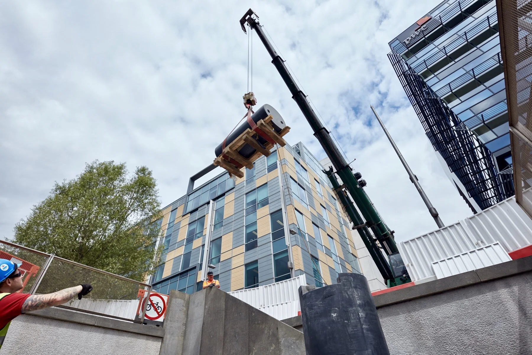 ROGER HIORNS: FREE TANK - PONY