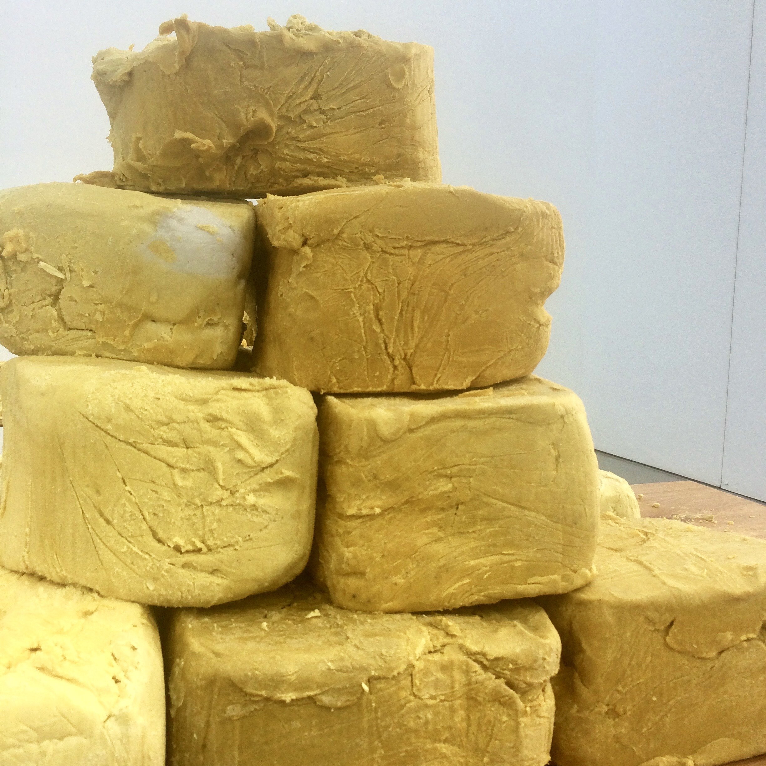 PONY PUBLIC ART GALLERY PRODUCTION STUDIO SITE VISITS