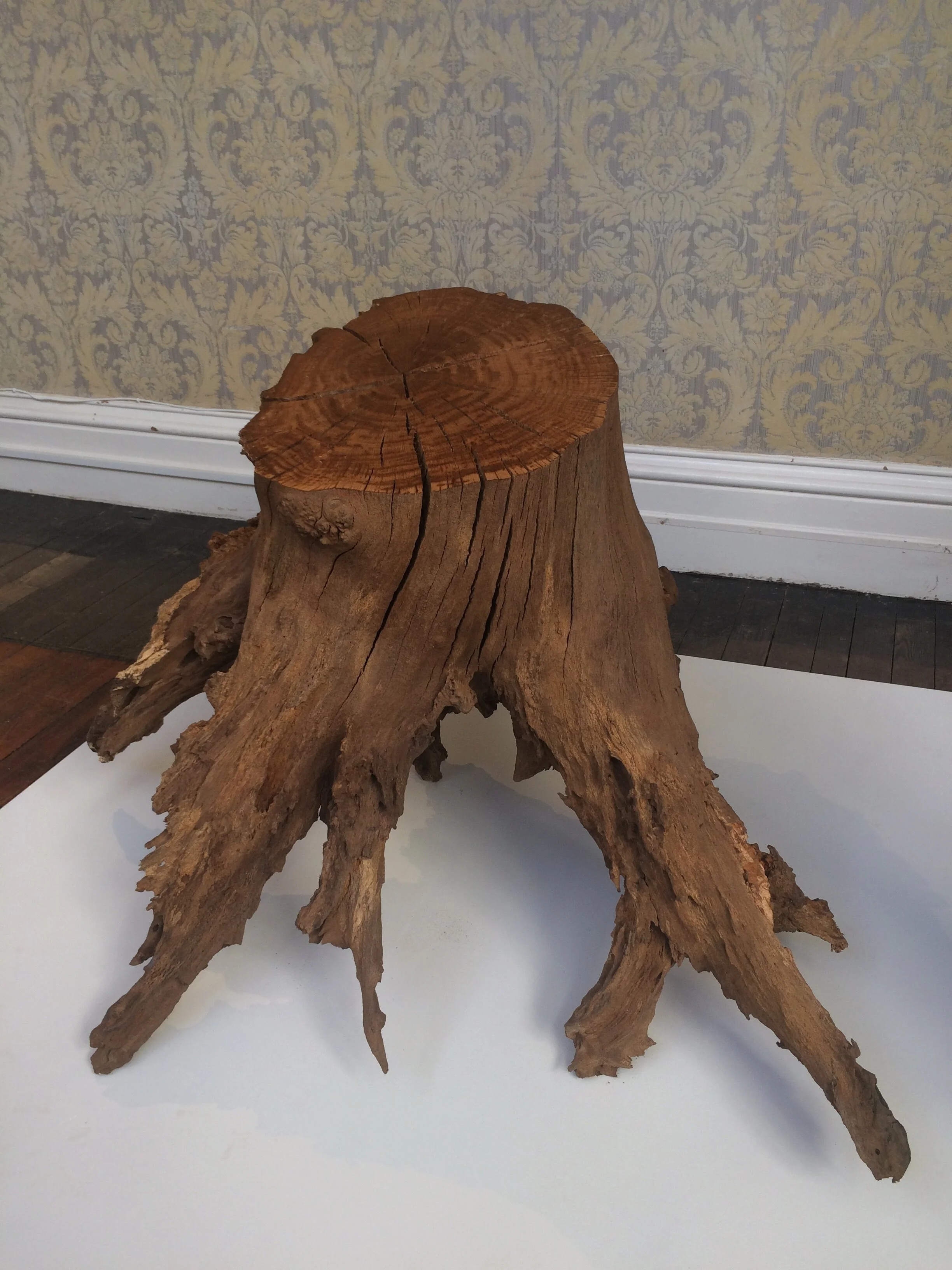 PONY PUBLIC ART GALLERY PRODUCTION STUDIO SITE VISITS