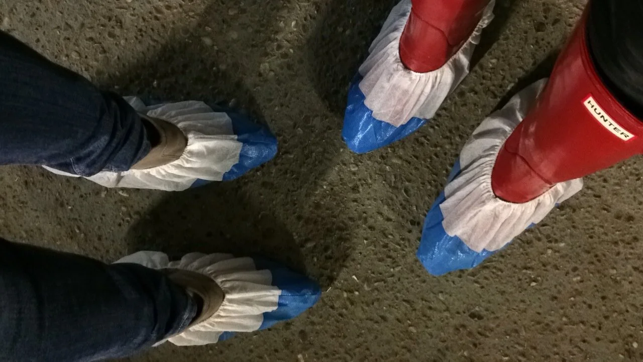 PONY PUBLIC ART GALLERY PRODUCTION STUDIO SITE VISITS