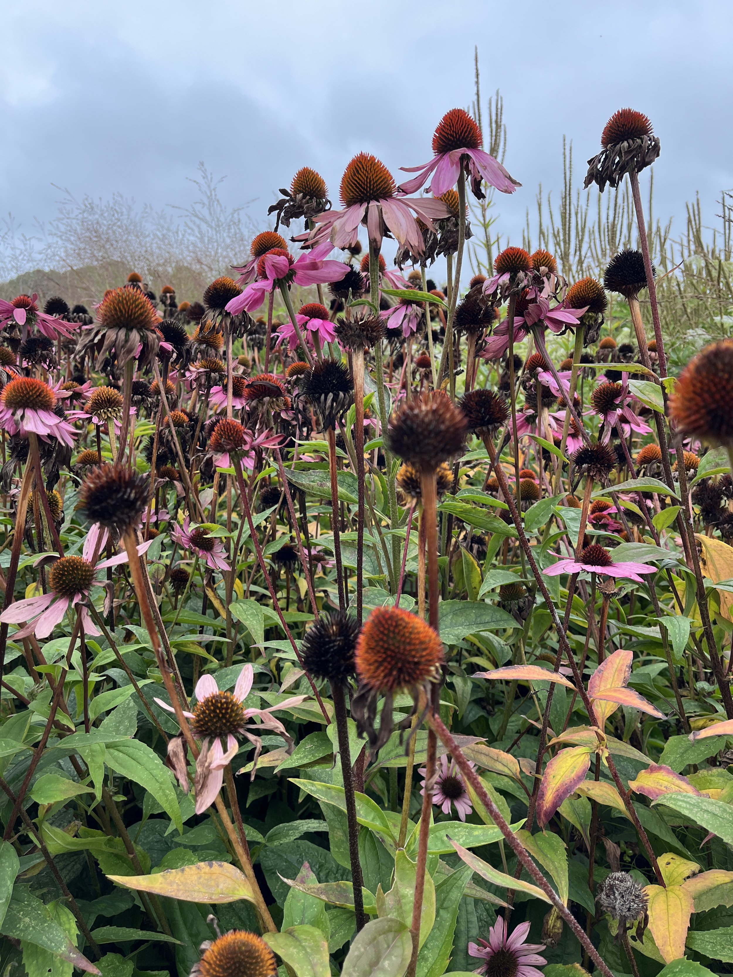 PONY-PUBLIC-ART-GALLERY-PRODUCTION-STUDIO-SITE-VISIT