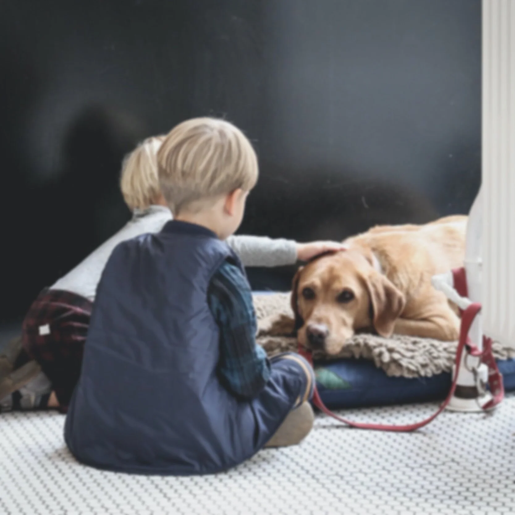 FAMILY AND PETS