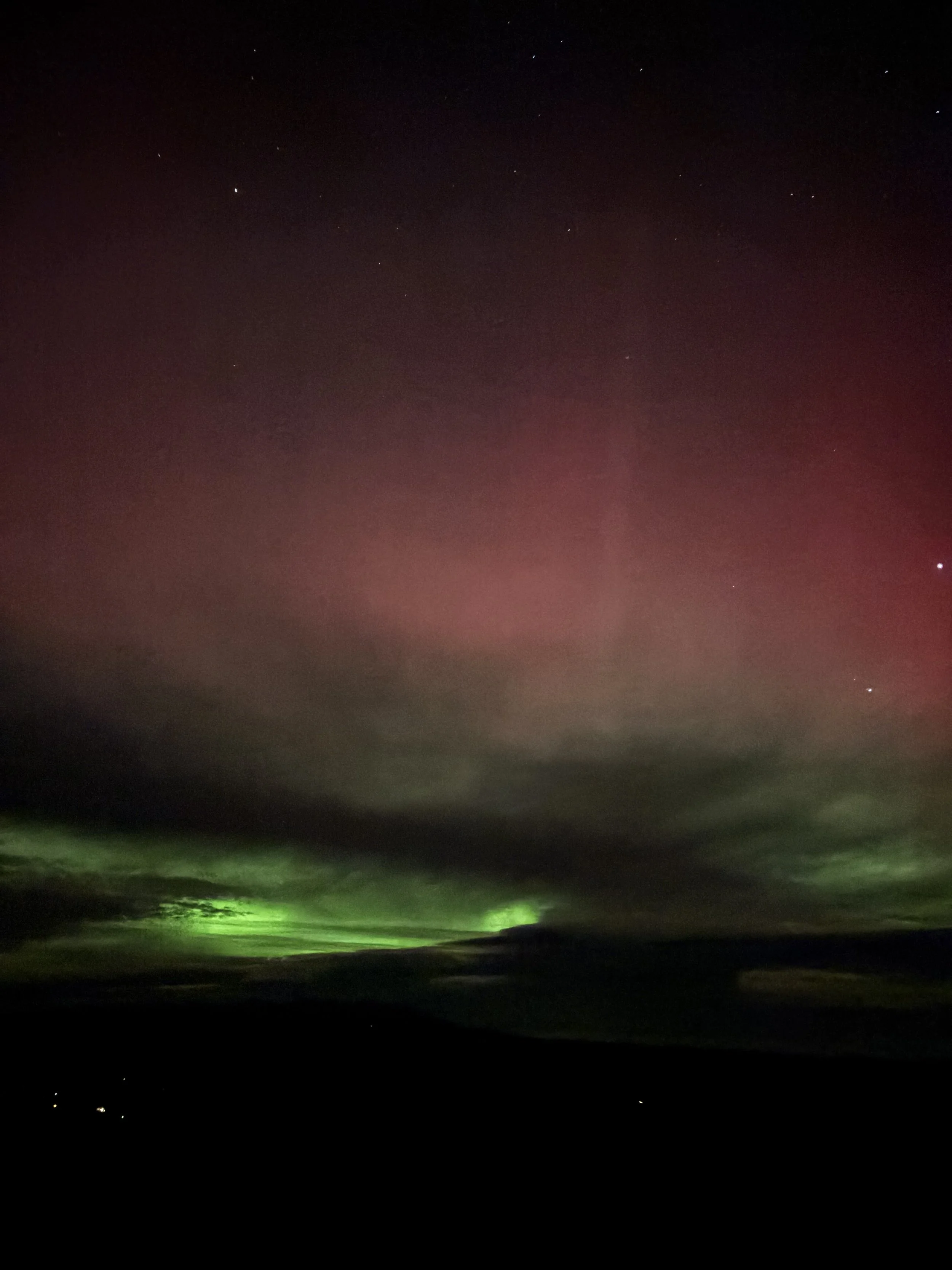 IMG_9769 - Amy Guevara.jpeg