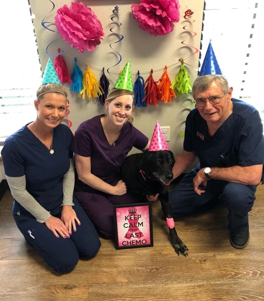 Our Team — Hewitt Veterinary Hospital, Waco Texas