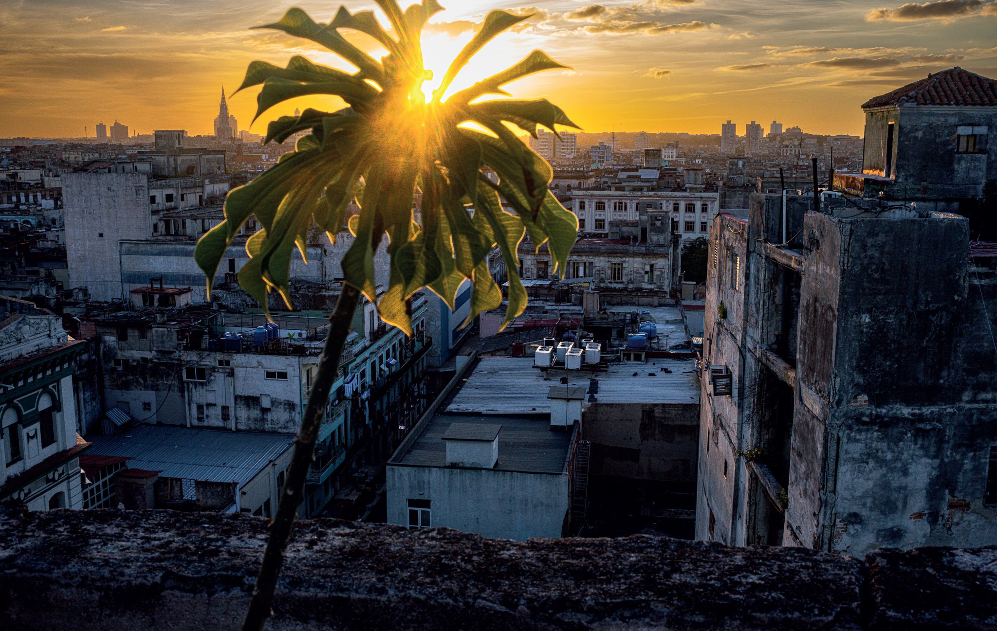 Nguyễn Thị Phương Lan_Surreal Cuba_0003.jpg