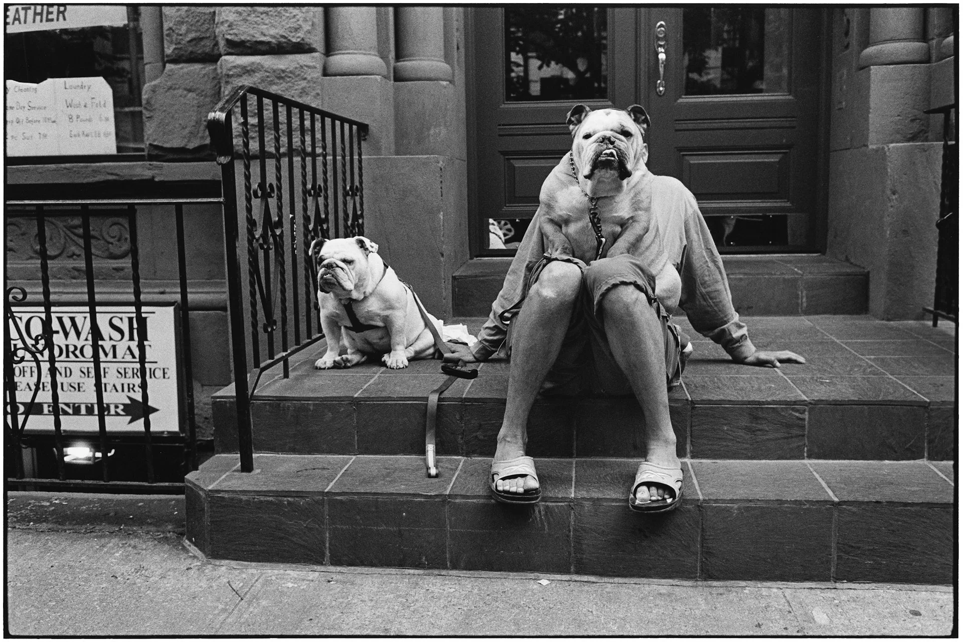 70-years-of-Leica-M_Book_(c)Elliott Erwitt.jpg