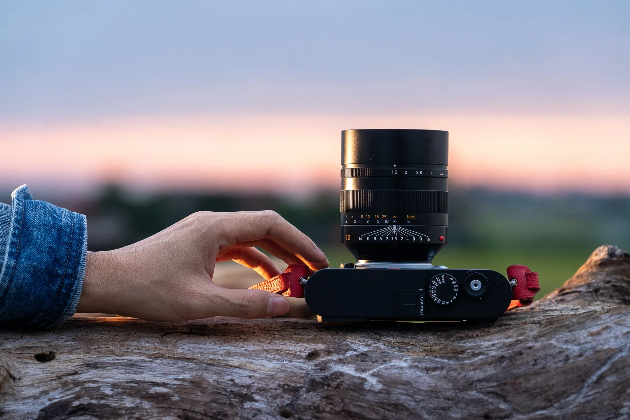 ‘Elemental’ by Leica M EV1