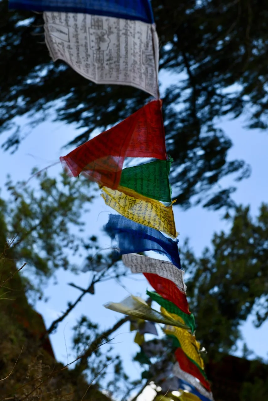 DSC_2346.jpeg