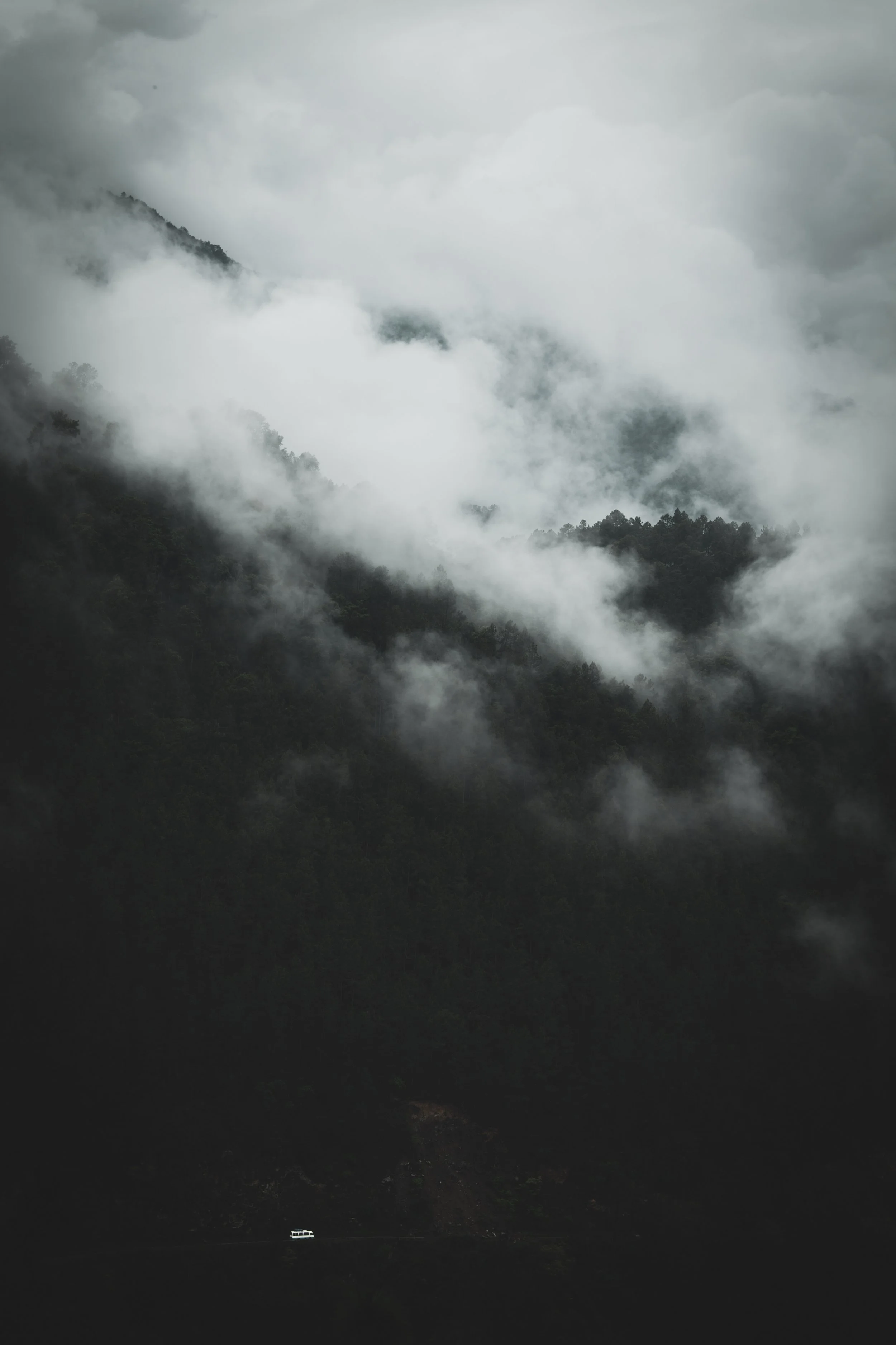 DSC_3475.jpeg