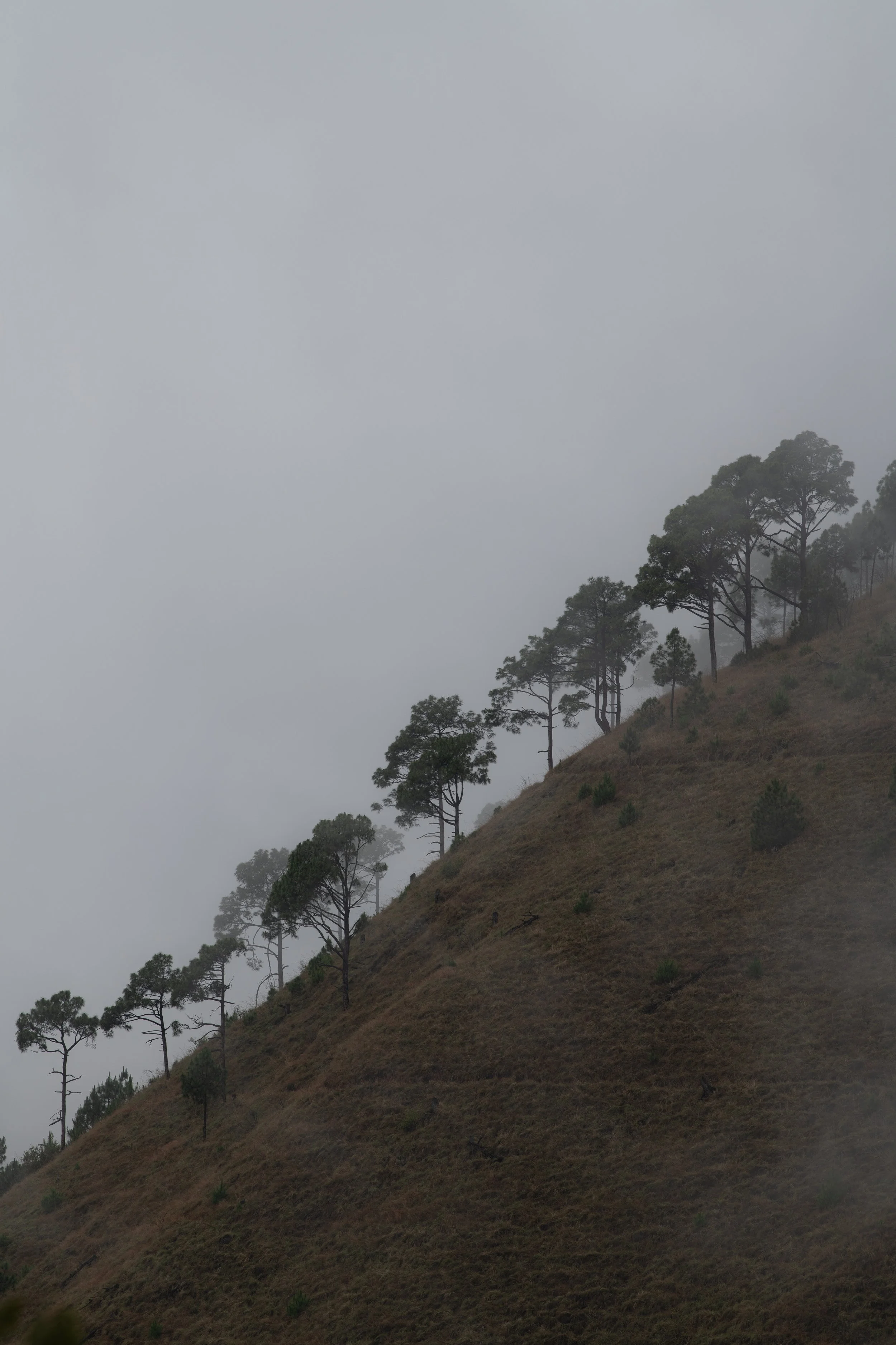 DSC_3492.jpeg
