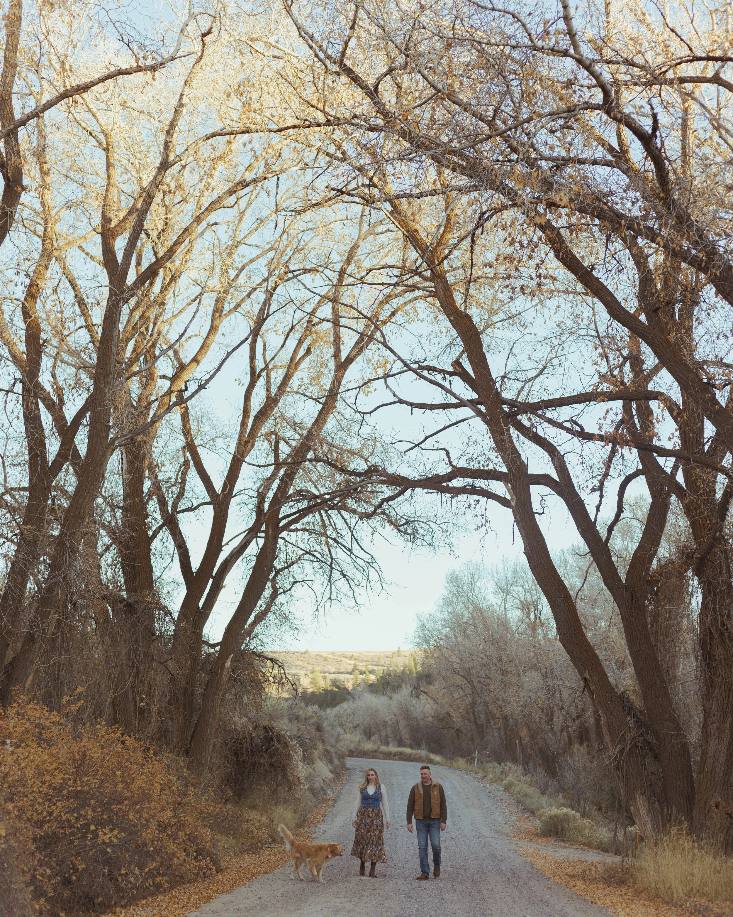 A couple and their dog, standing on a gravel road underneath tall cottonwood trees in the fall