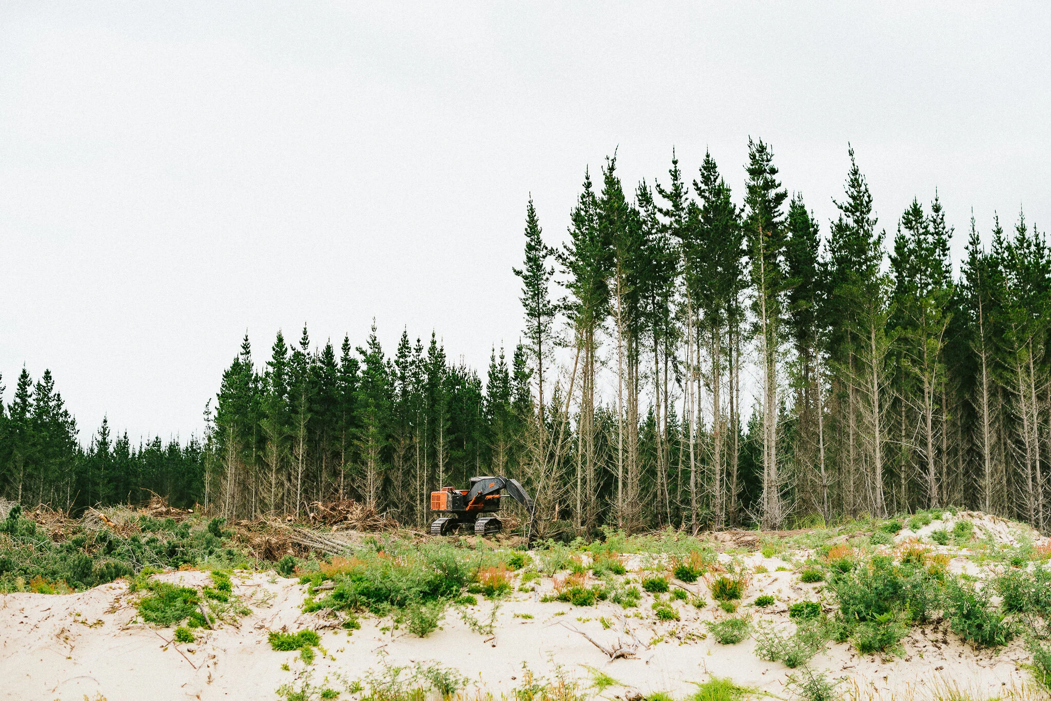 Matt Dowdle Photography-42.jpg