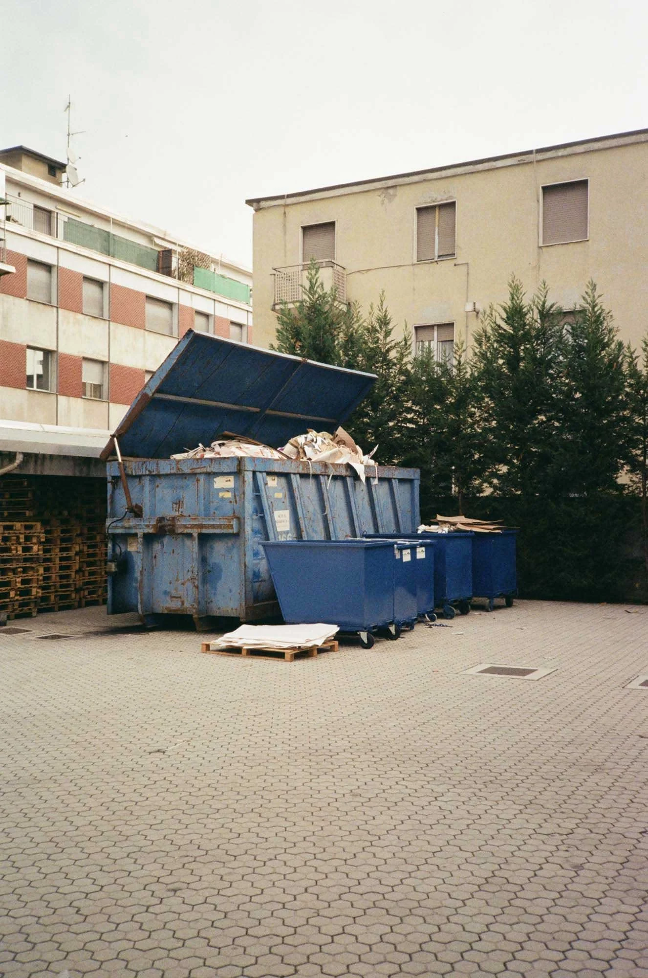 000000150016.jpg