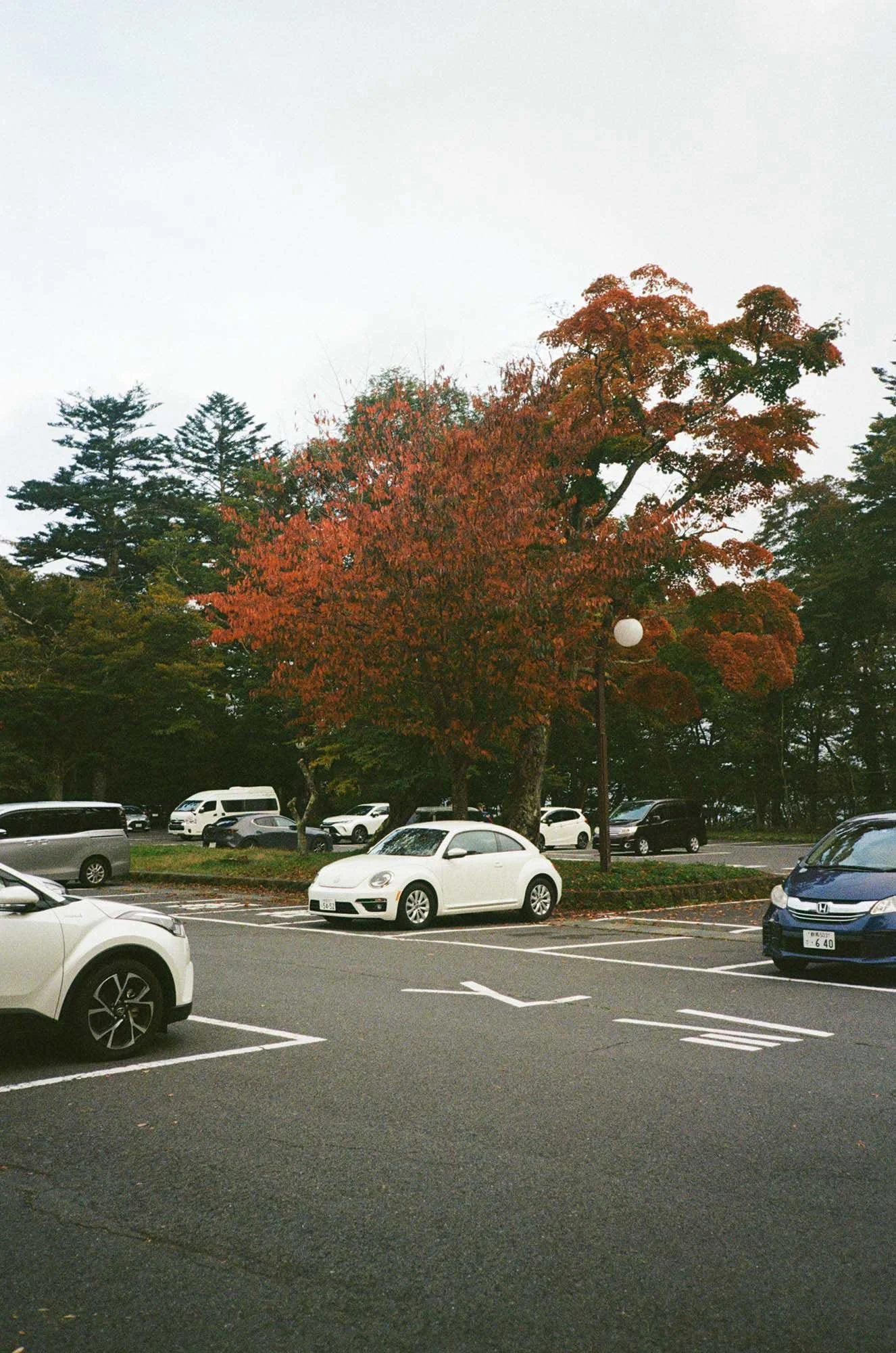 000024610031.jpg