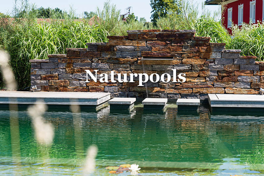 leistungen-naturpools-gartenundteich-die-gartenplaner-wels.jpg