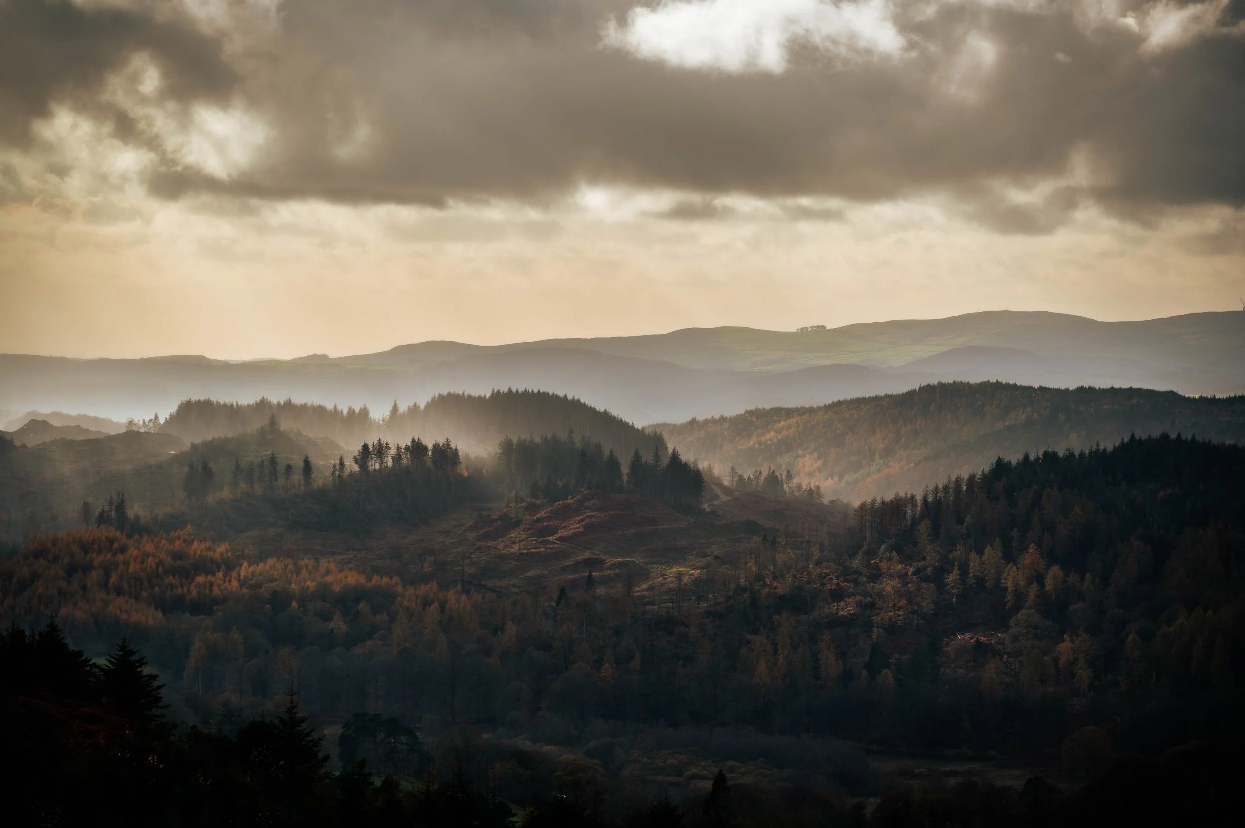 The View from Claife Heights