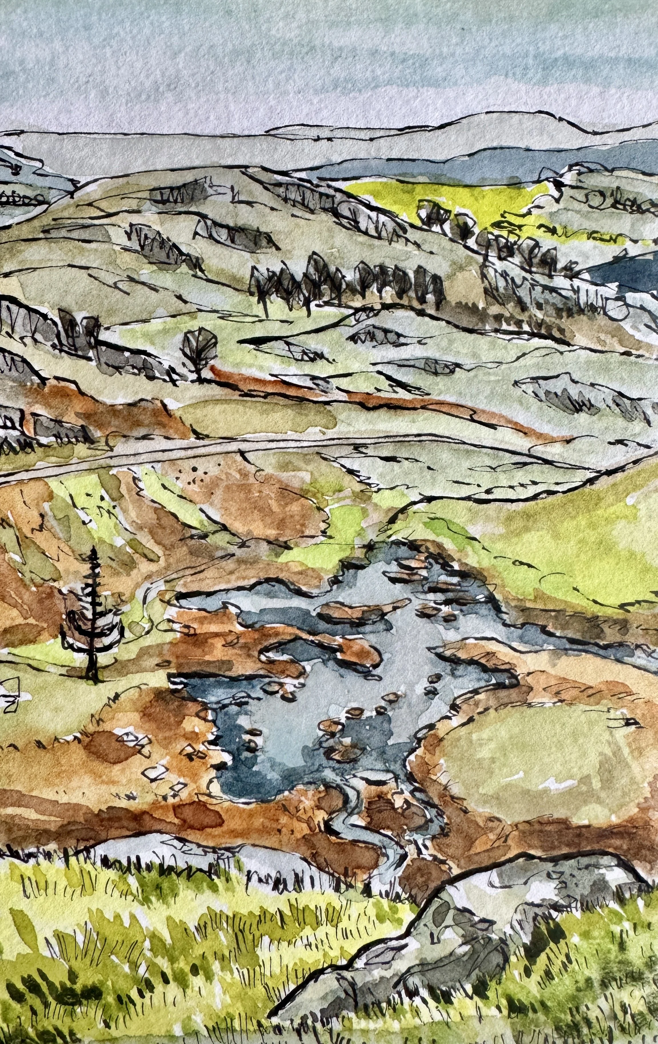 On Dry Cove_Pen & Watercolour