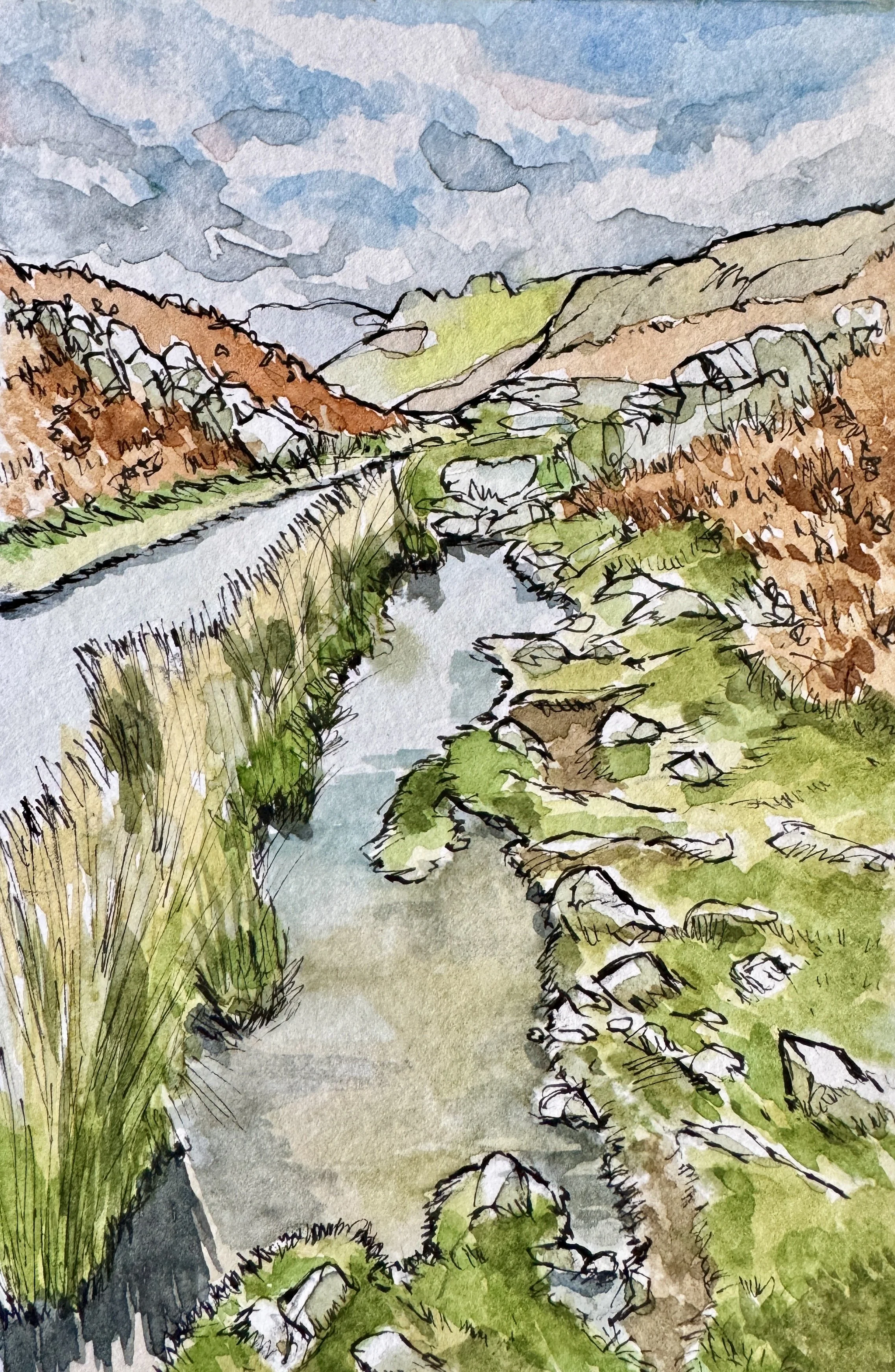 On Loughrigg Fell_Pen & Watercolour