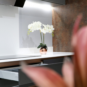 Showroom Experience