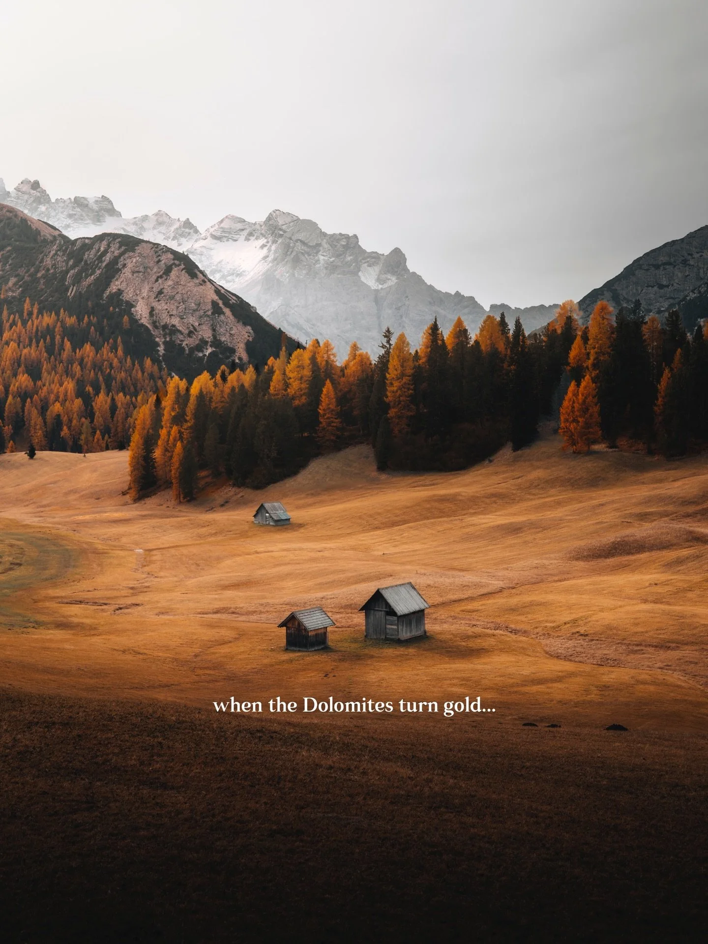 Golden season in the Dolomites 🍂
All shots are made with just a 50mm lens 📸

#photographer #sigma50mm #mountains #travel #photography #dolomites #nomadict