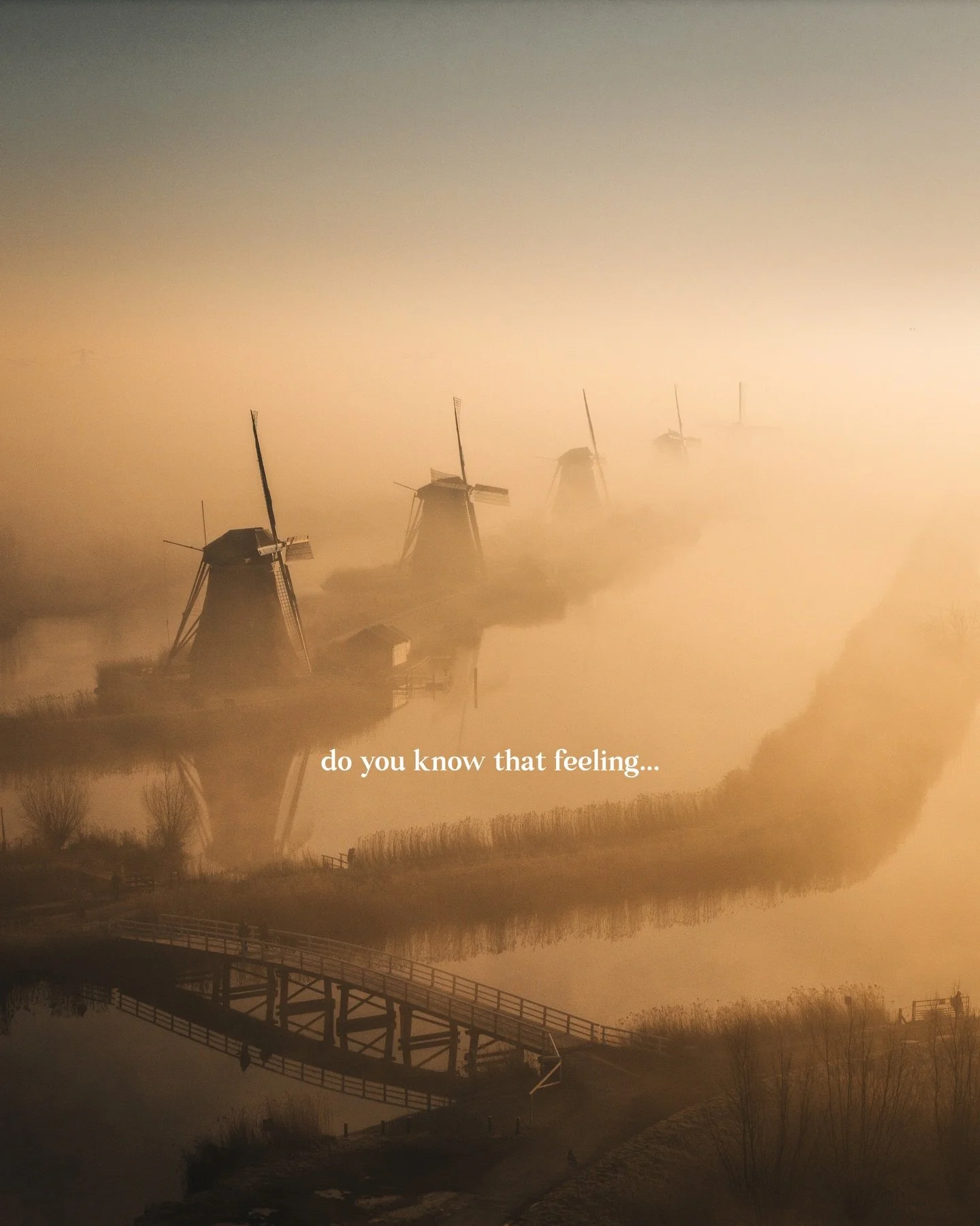 Do you know that feeling? Of that crisp sunny mornings? 😍

#dronephotography #netherlands #djiair3s #photographer #bestofnetherlands #madewithlightroom #roam #lookslikefilm #bestofnetherlands