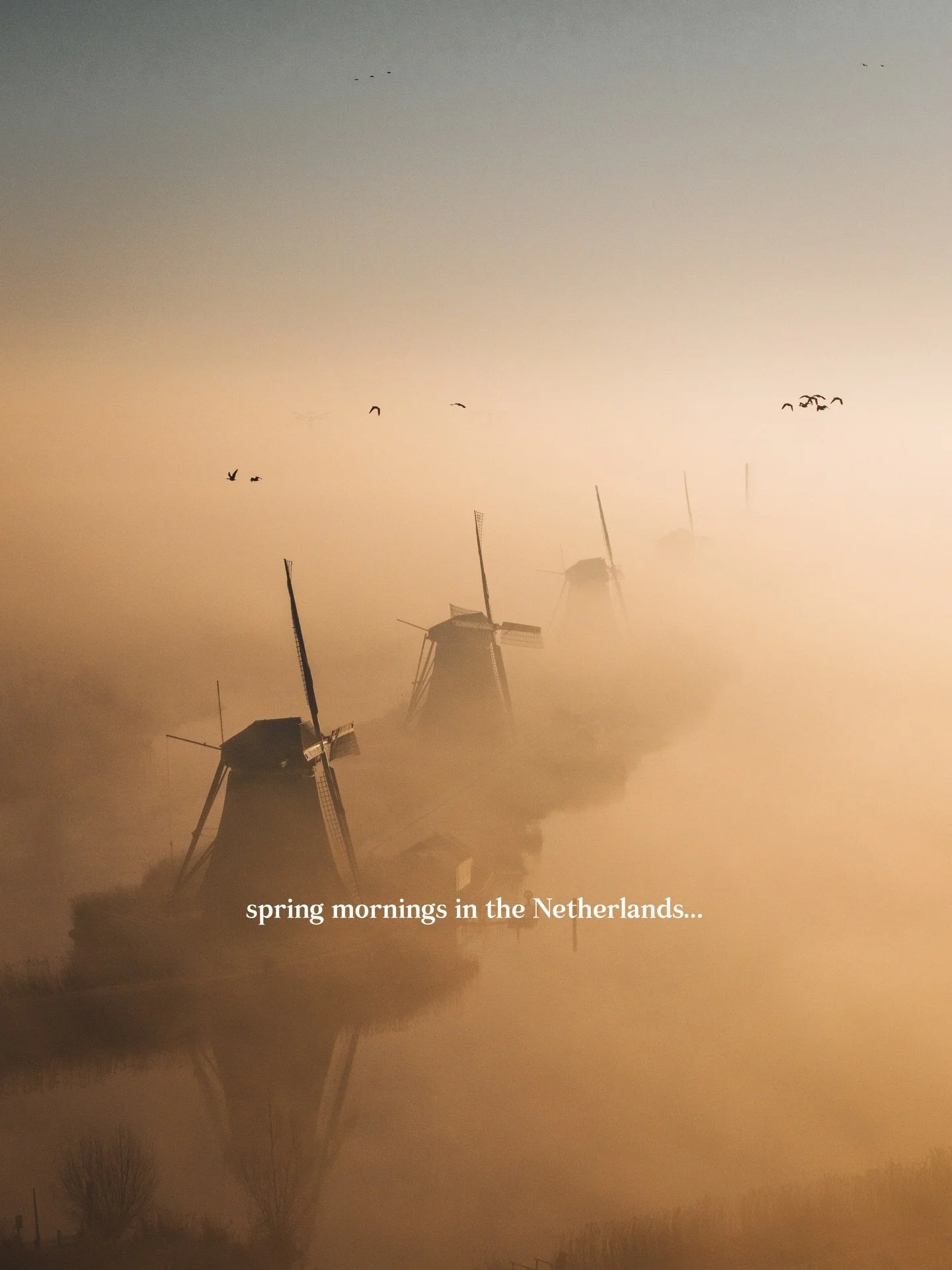 Spring morning at the windmills of Kinderdijk through my camera. Love it 📸

#spring #netherlands #dronephotography #madewithlightroom #windmill