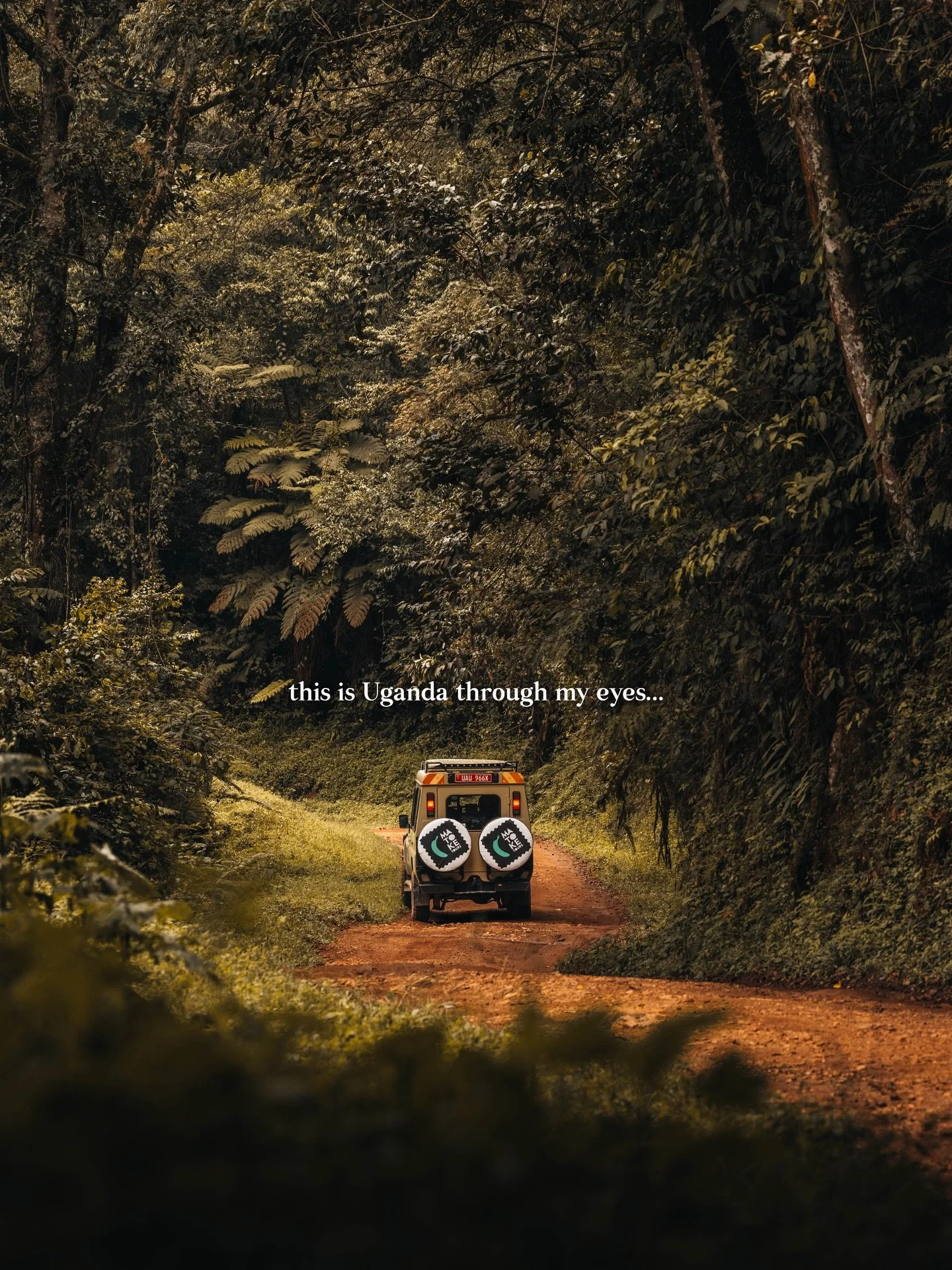 The adventure of a lifetime with a 4x4 through Uganda 🇺🇬😍 Wild a wild and beautiful country this is, so many memories from this incredible visit in Africa 📸

#uganda #photographer #gorilla #photography #africa